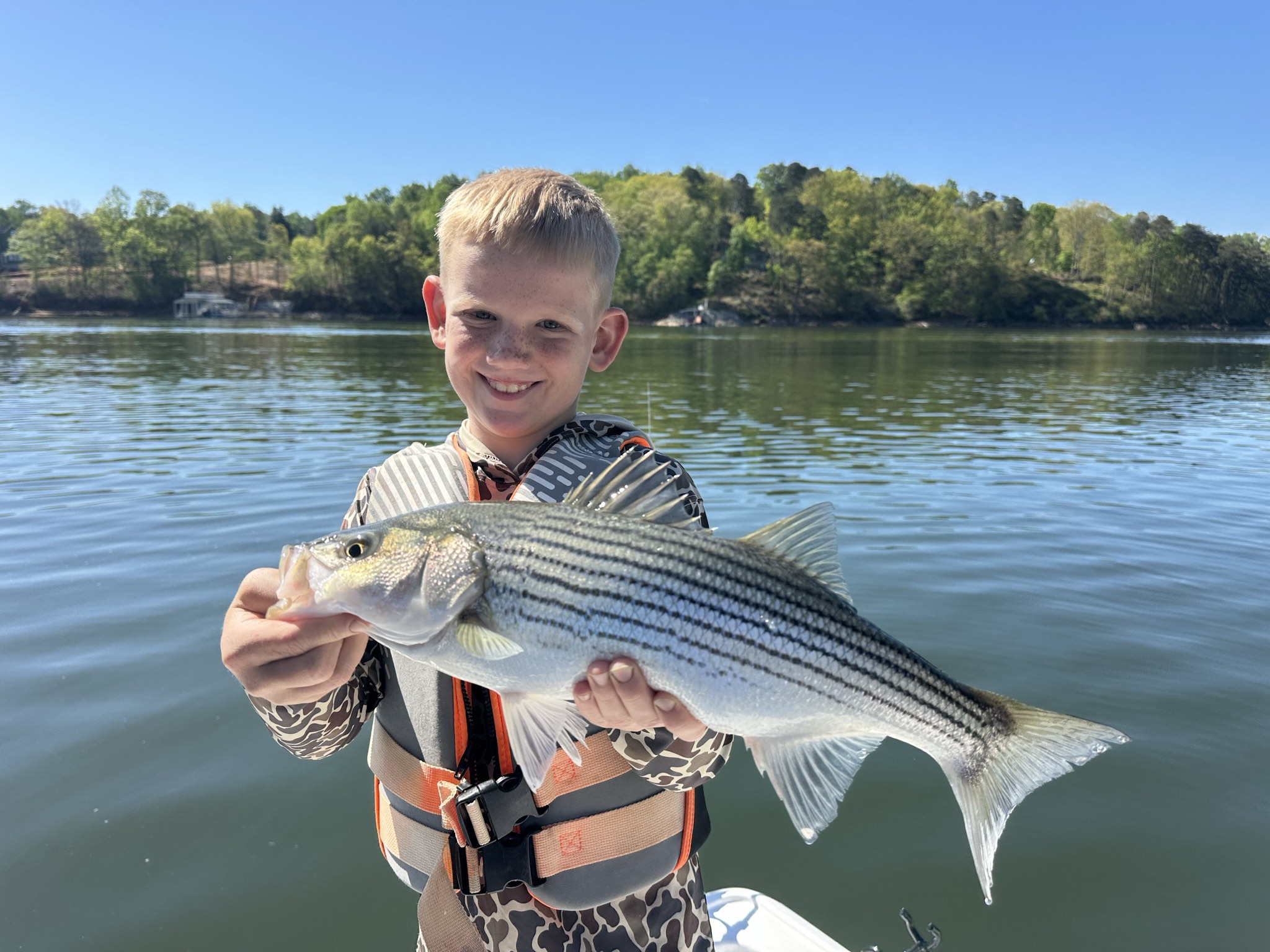 Striped Bass — April 2026