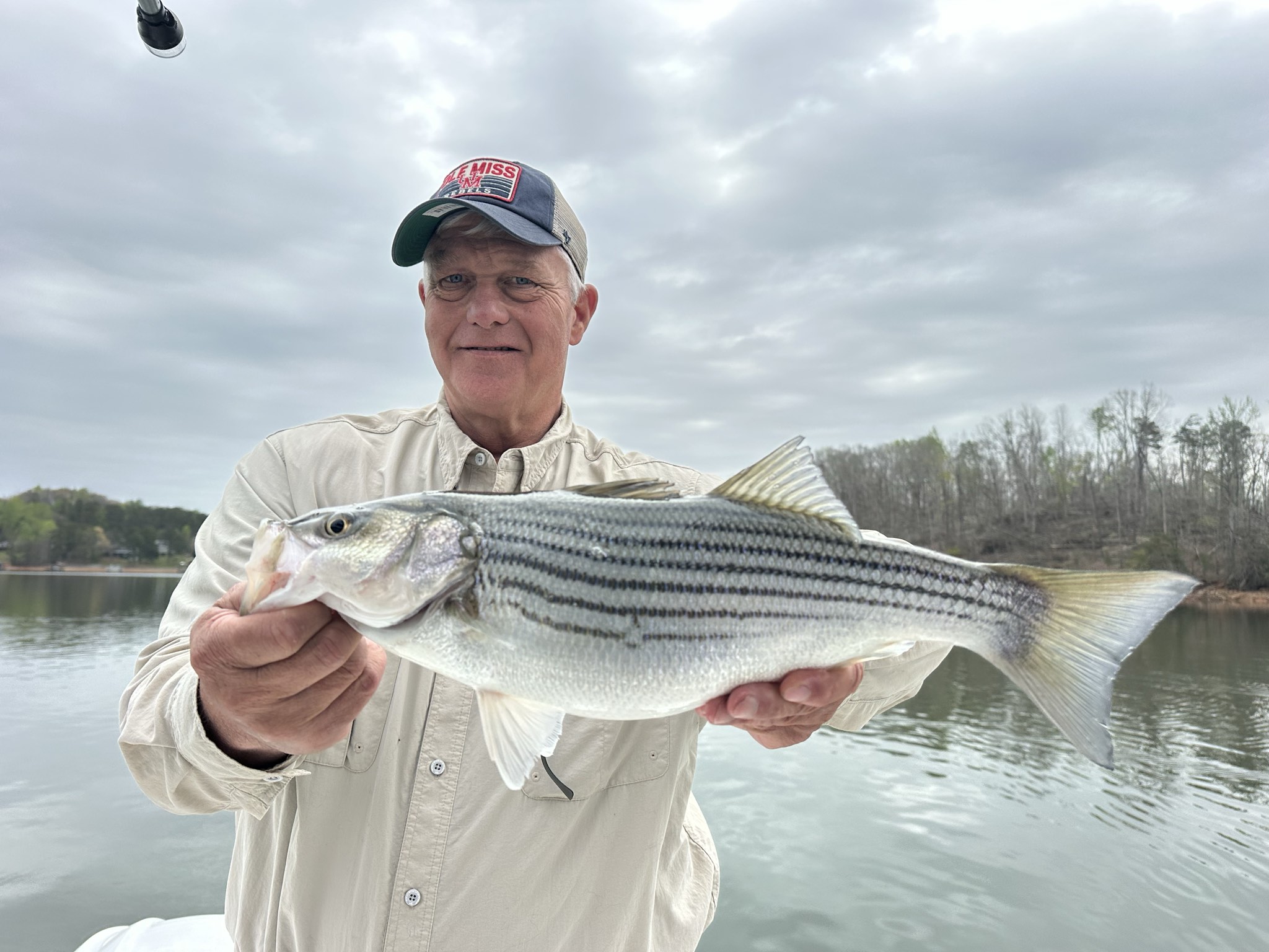 Striped Bass — March 2026
