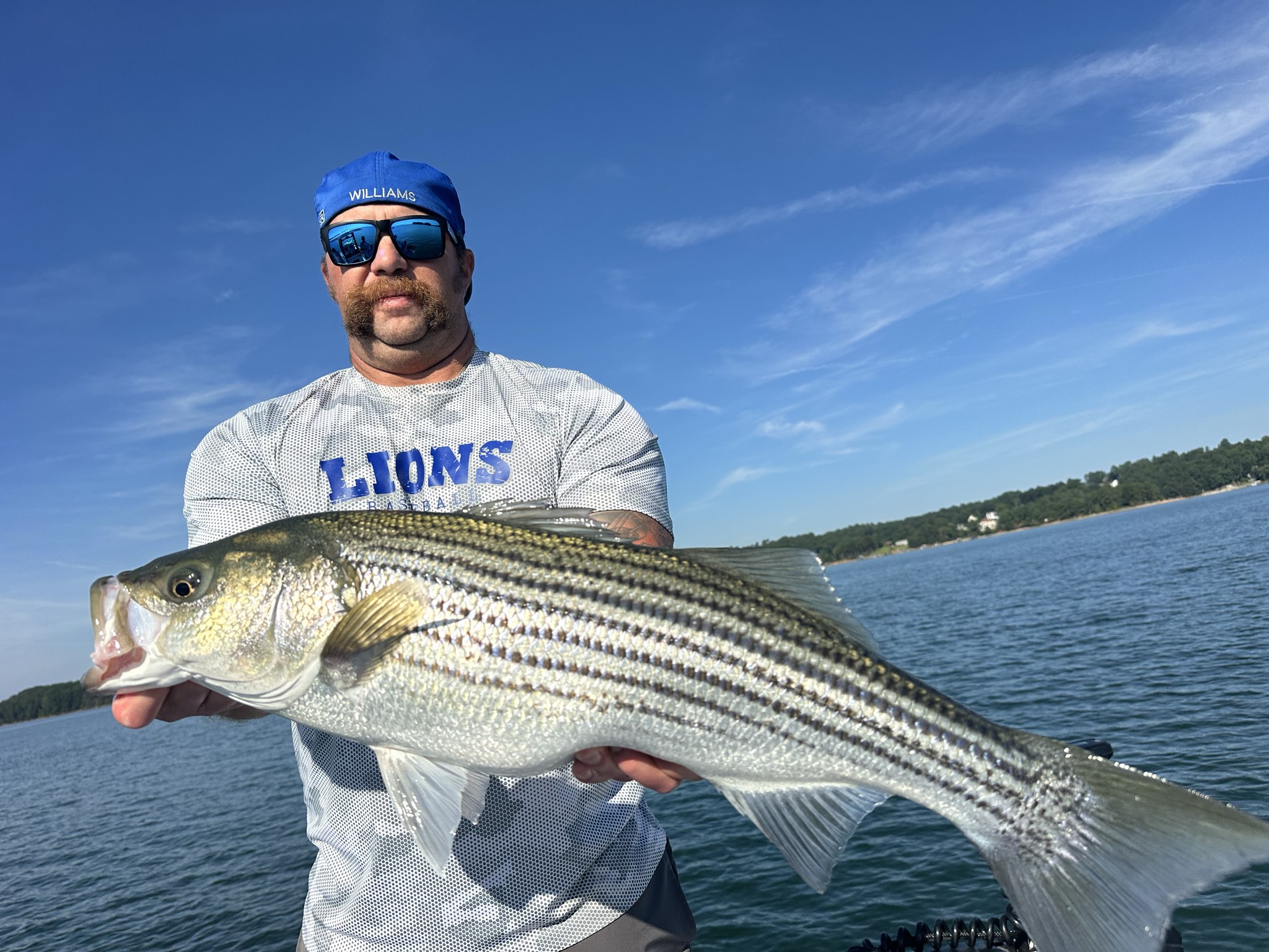 August Striped Bass Action On Lake Lanier