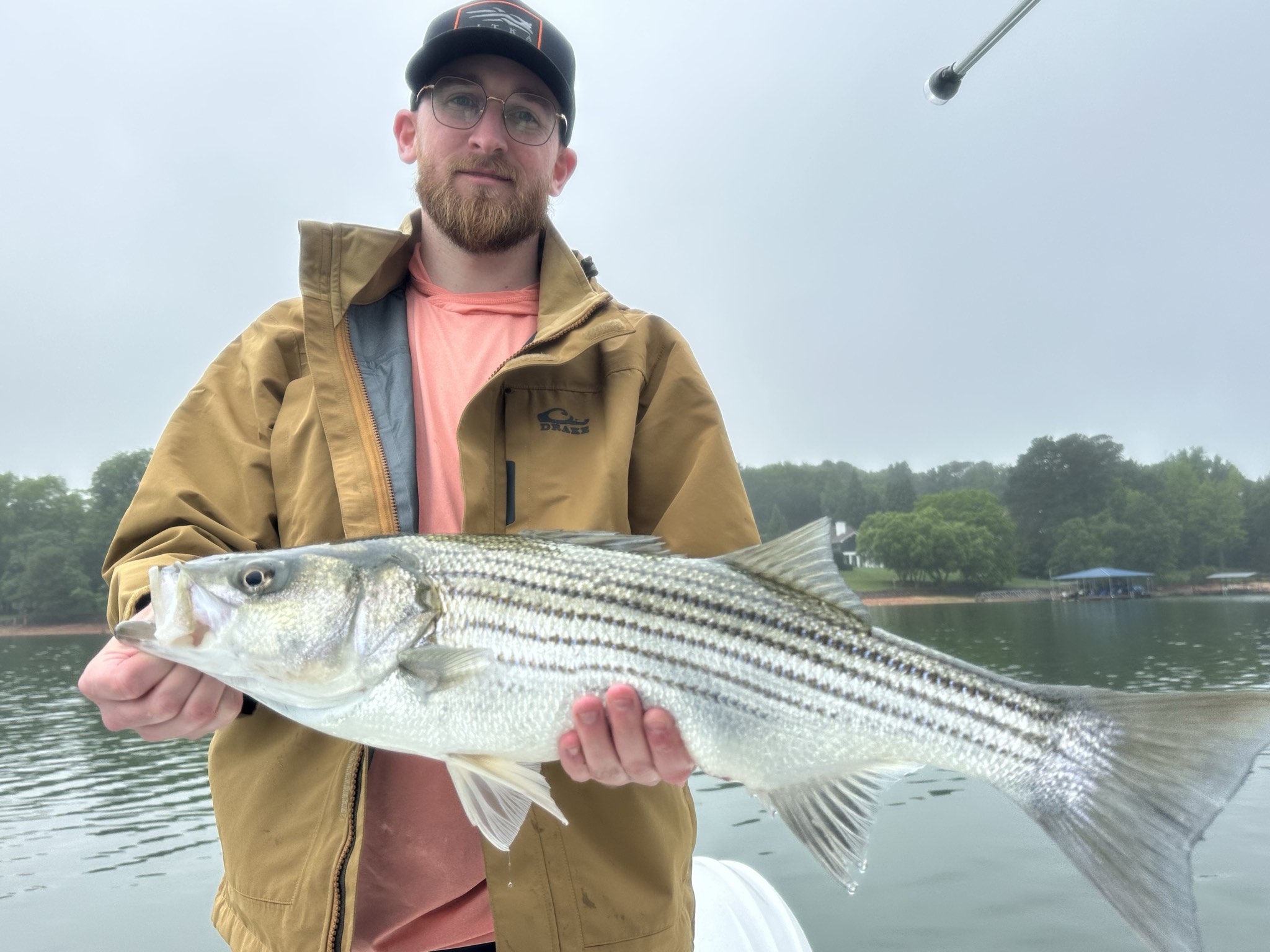 Striped Bass And Spotted Bass Action On Lake Lanier