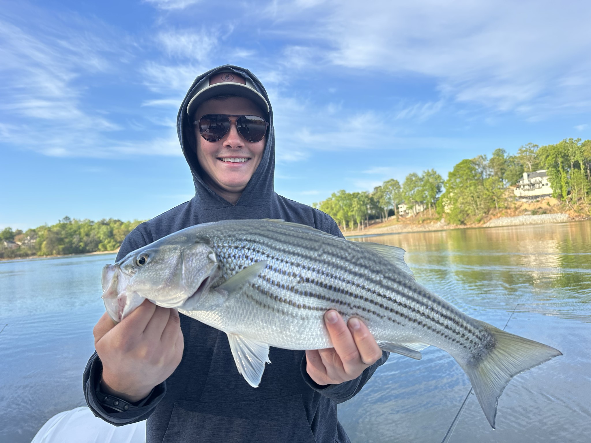 Striped And Spotted Bass Lake Lanier April
