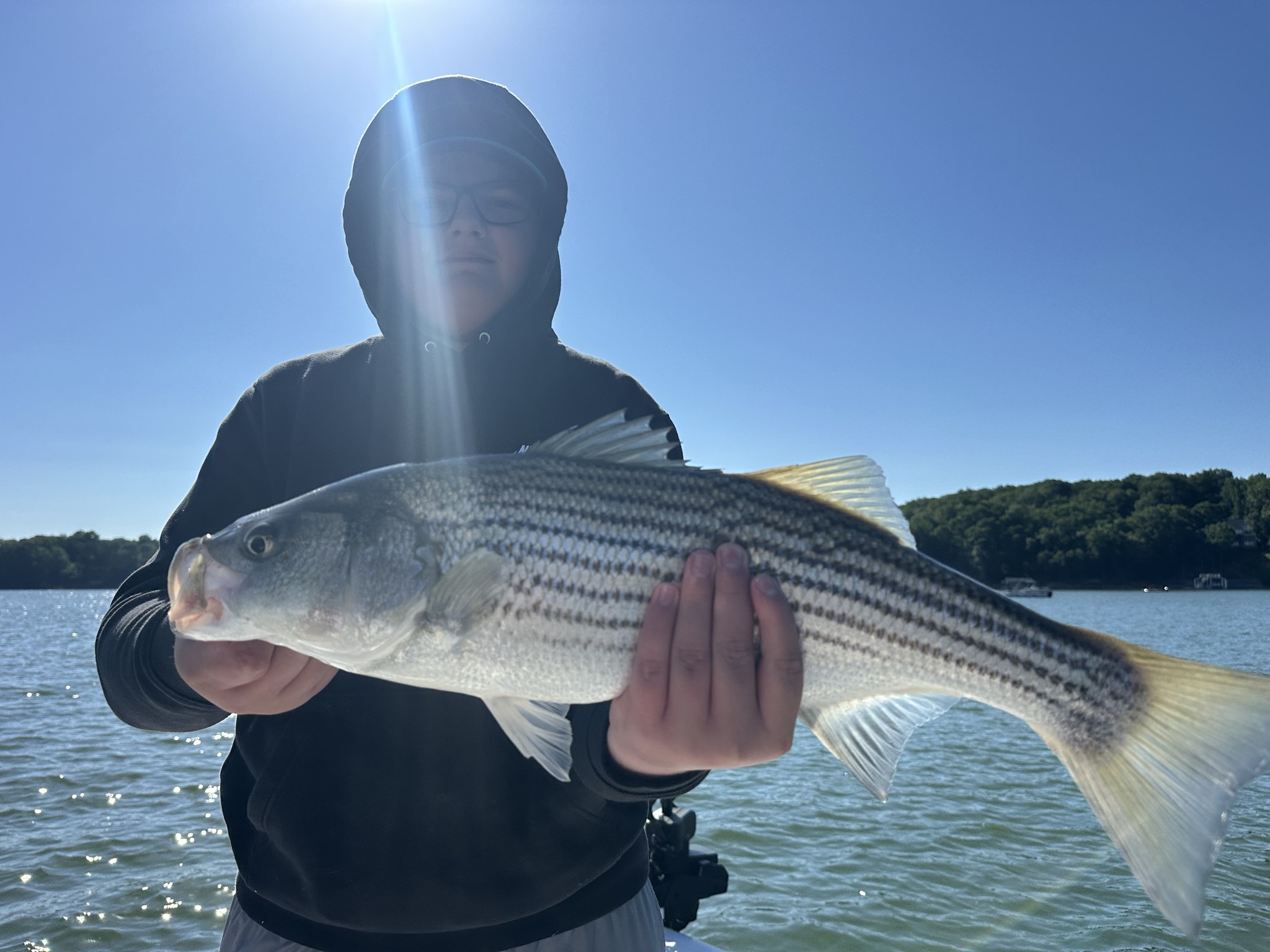 Striped Bass — June 2026