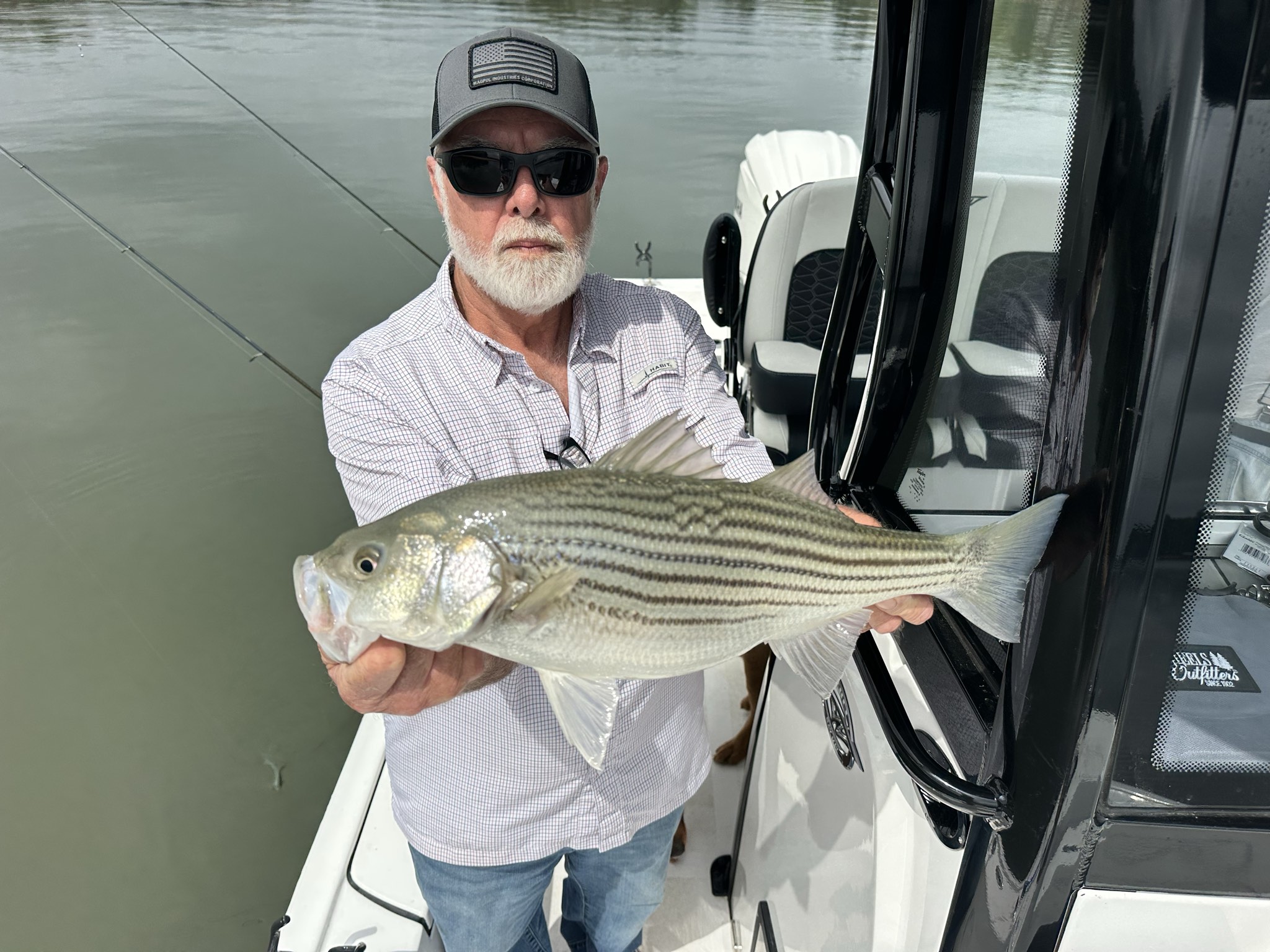 Striped Bass — April 2026