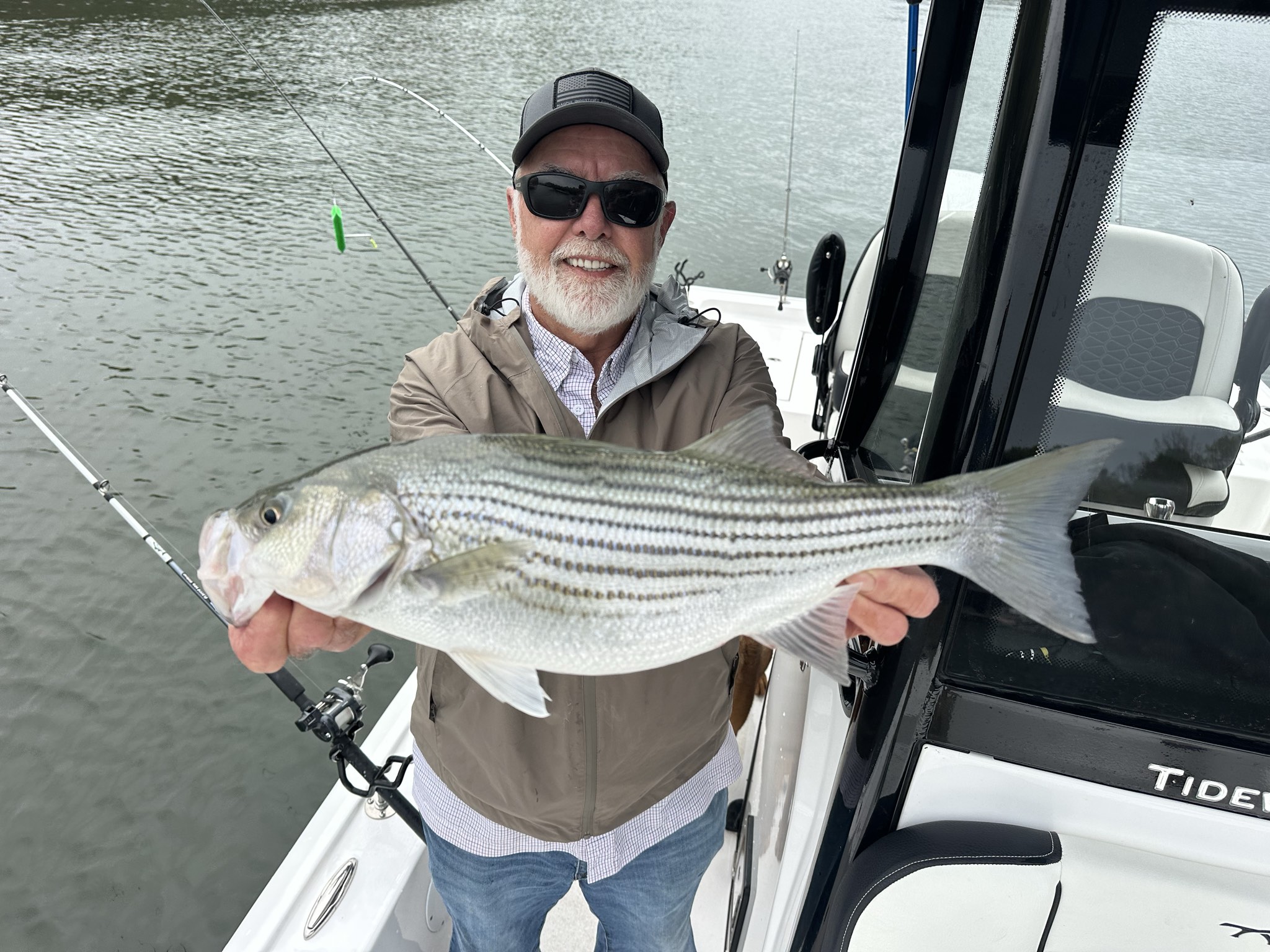Striped Bass — April 2026