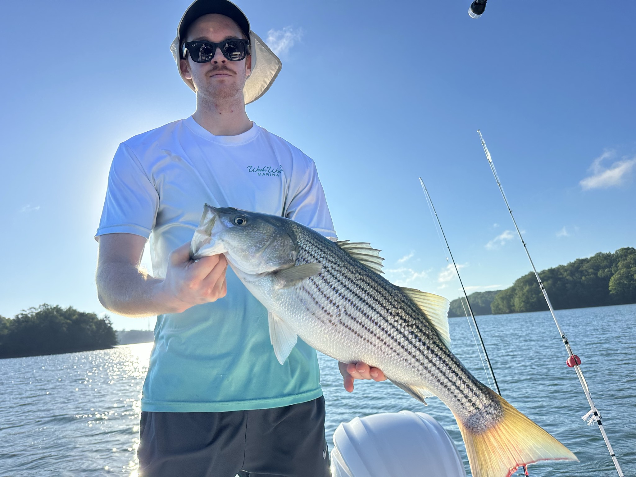 Striped Bass — June 2026