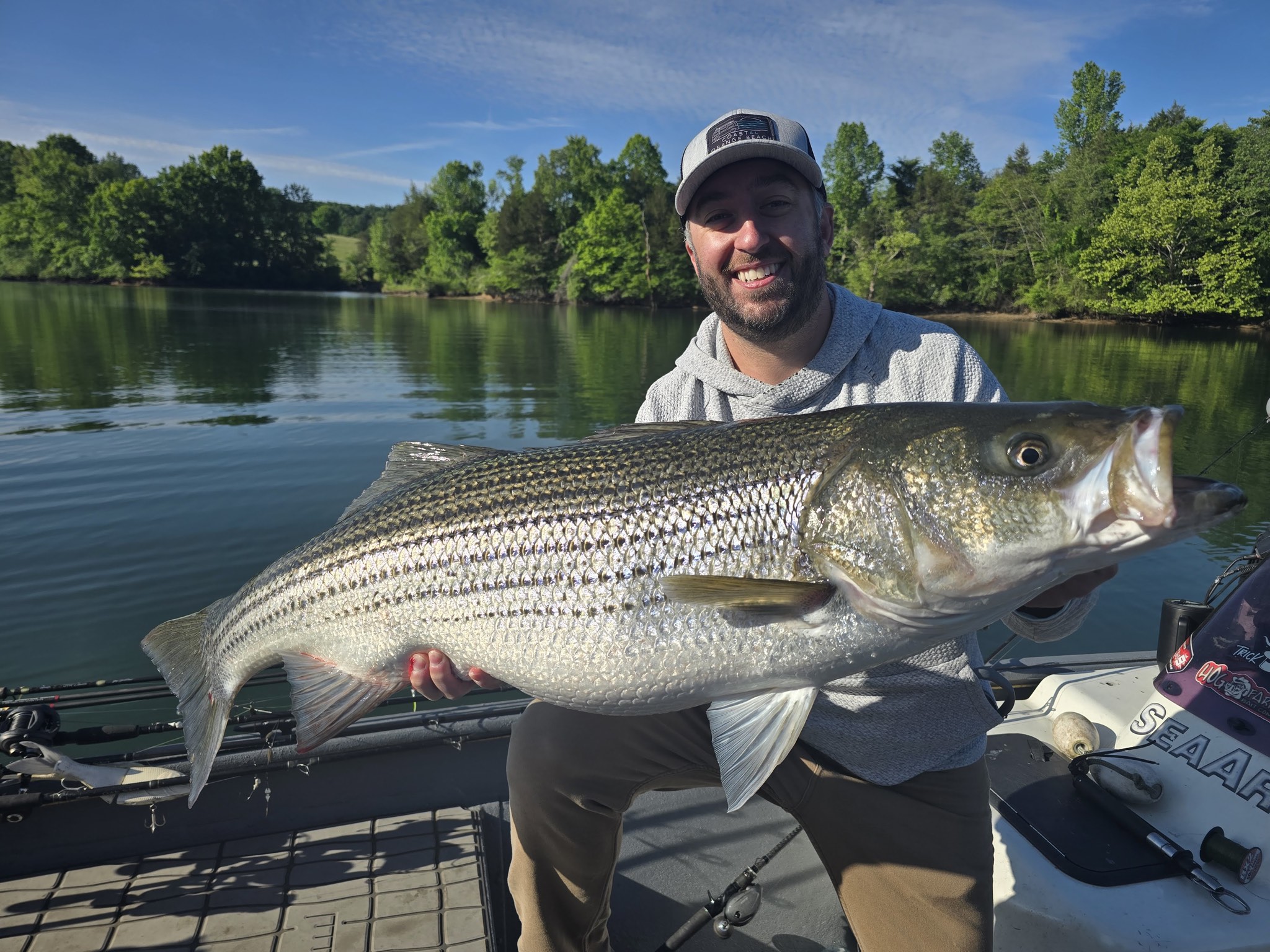 Striped Bass in a fishing photo from Jackson Lake Hybrid Guide