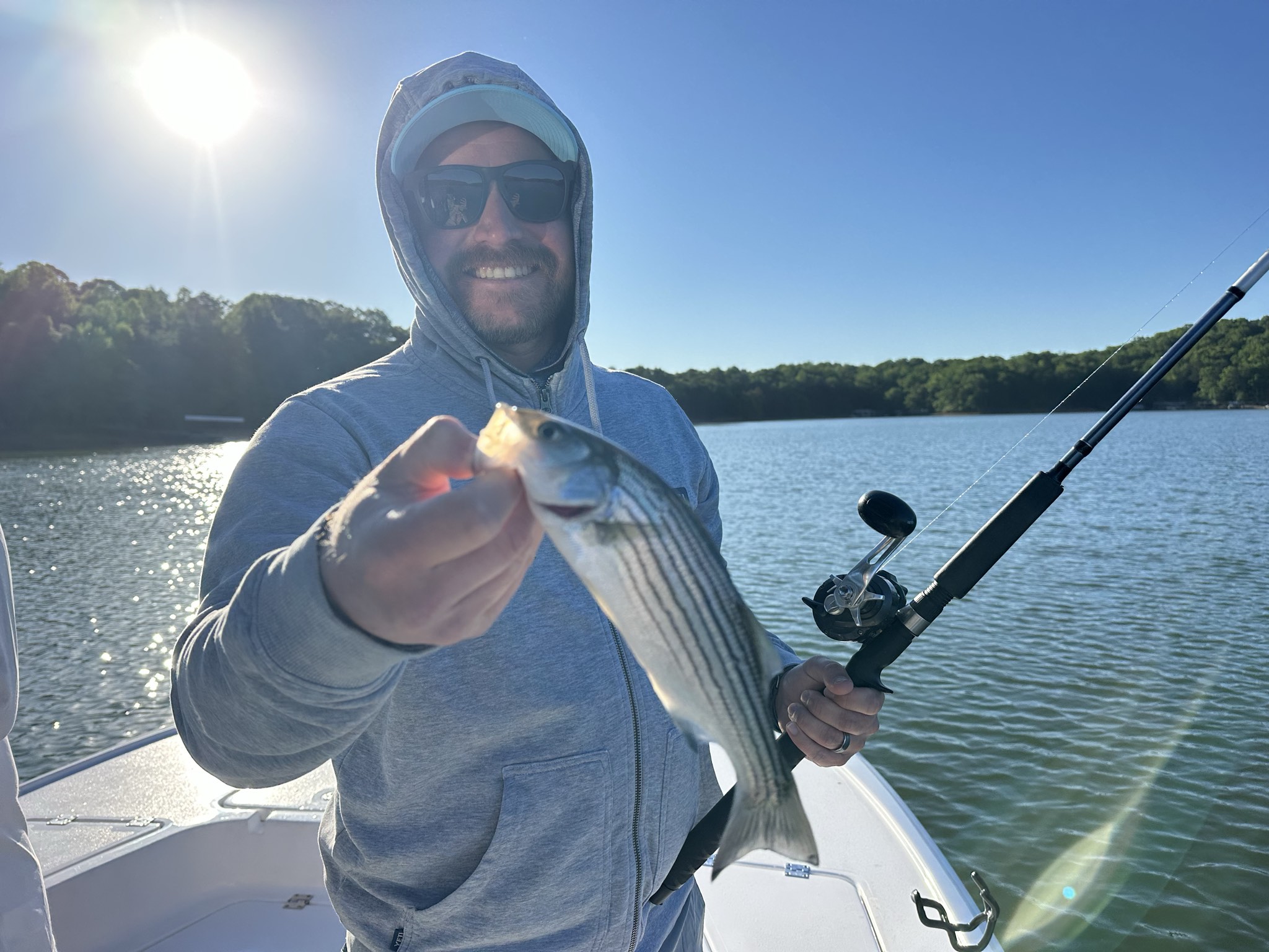 Striped Bass — May 2026