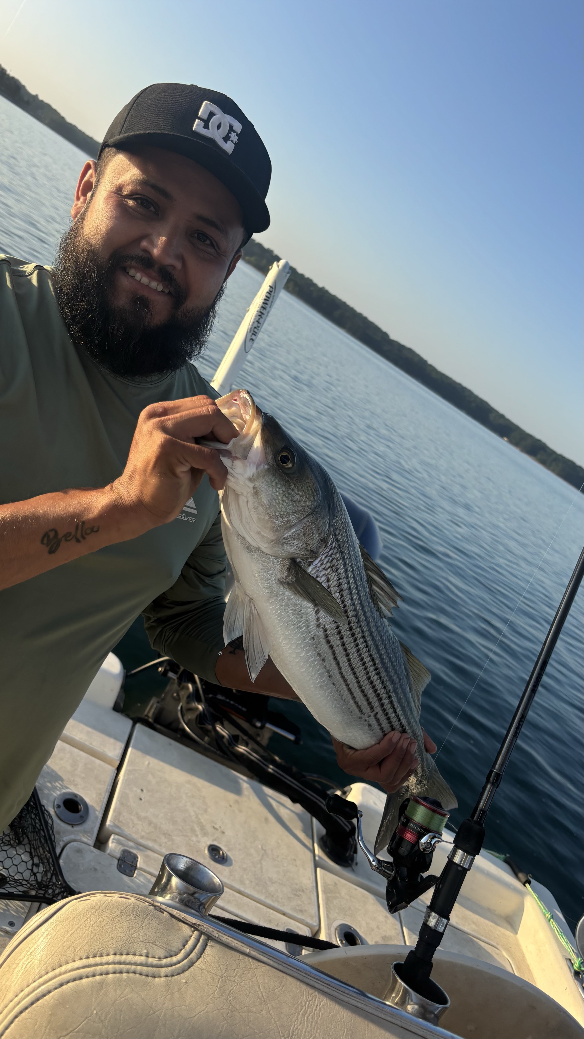 Striped And Spotted Bass Lake Lanier June