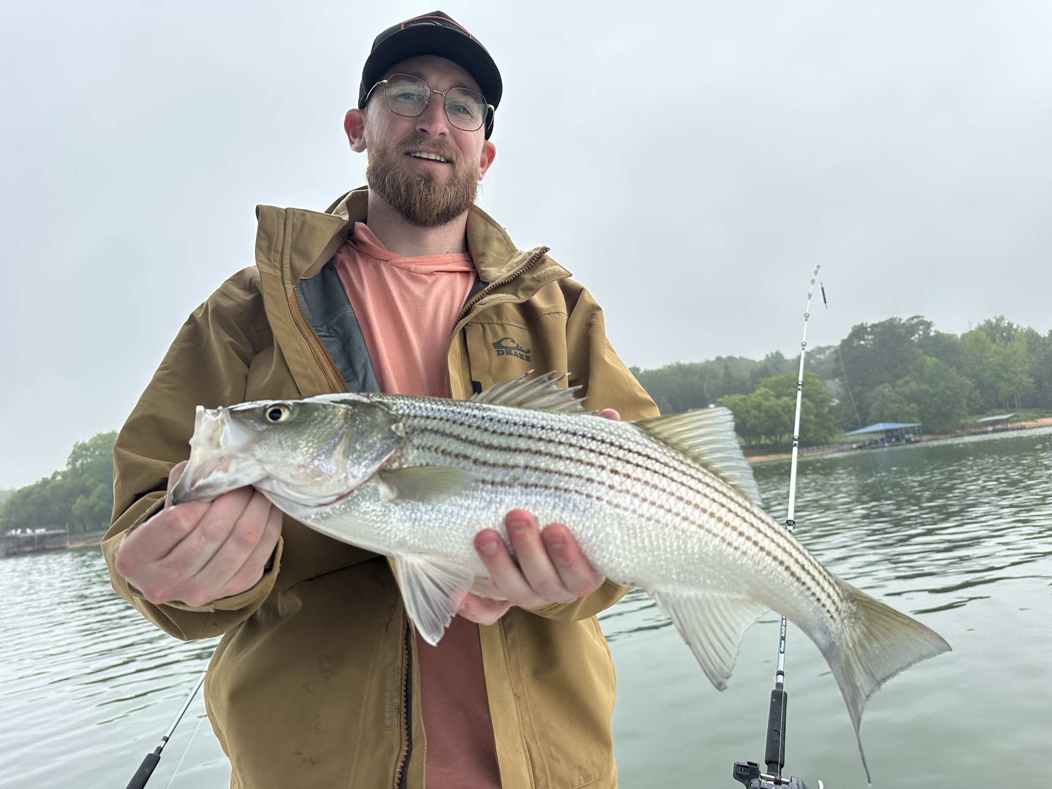 Striped Bass And Spotted Bass Action On Lake Lanier