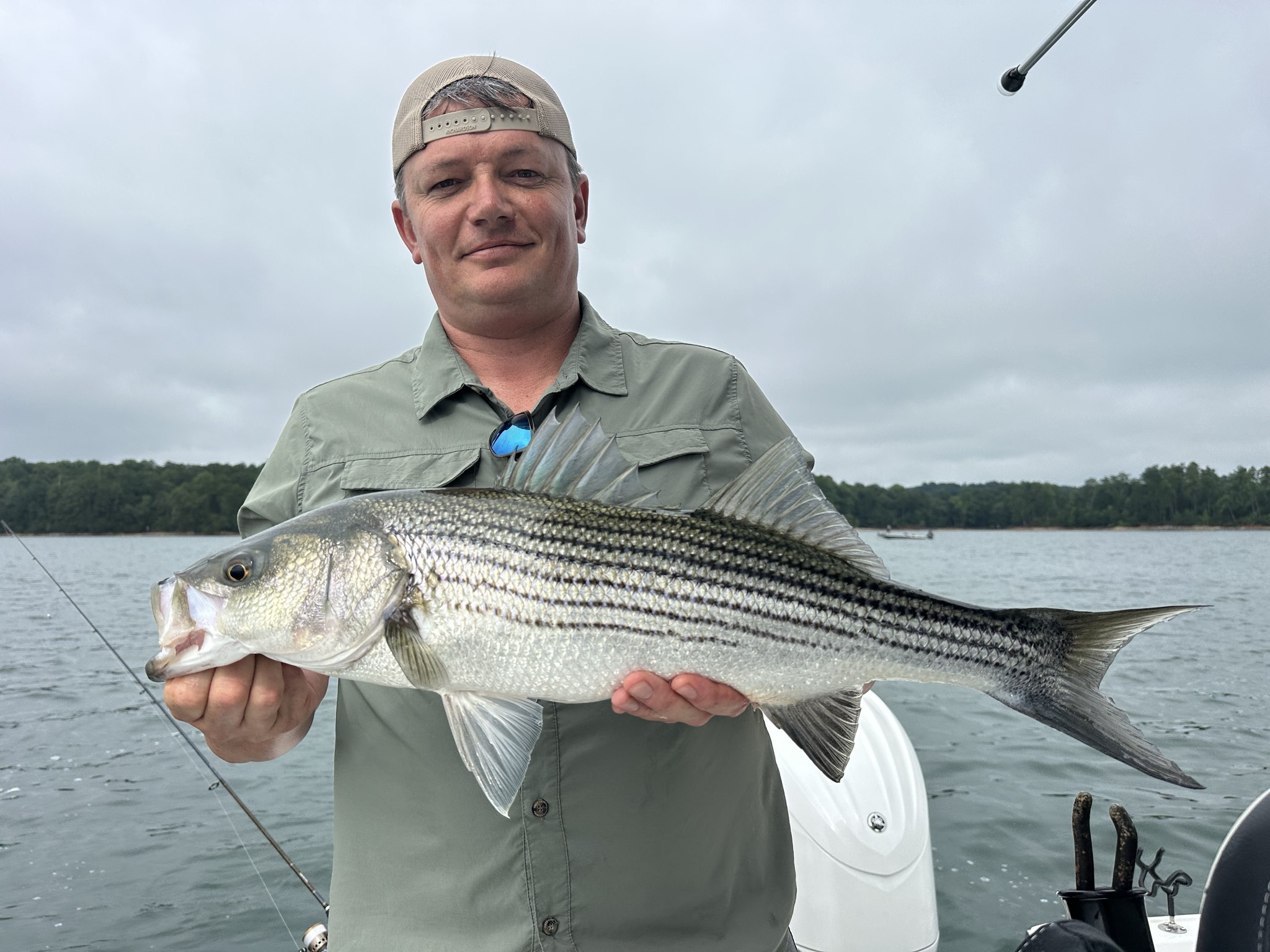 Summer Bass Bite on Lake Lanier