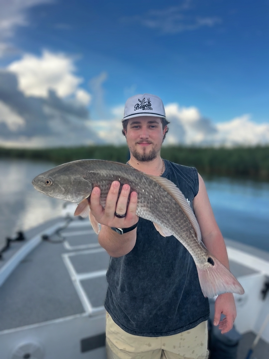 Red drum caught out of Venice, Sept 12, 2026