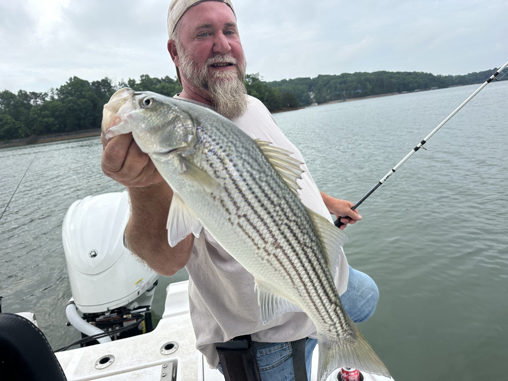 May Stripers, Spots, And Catfish On Lake Lanier