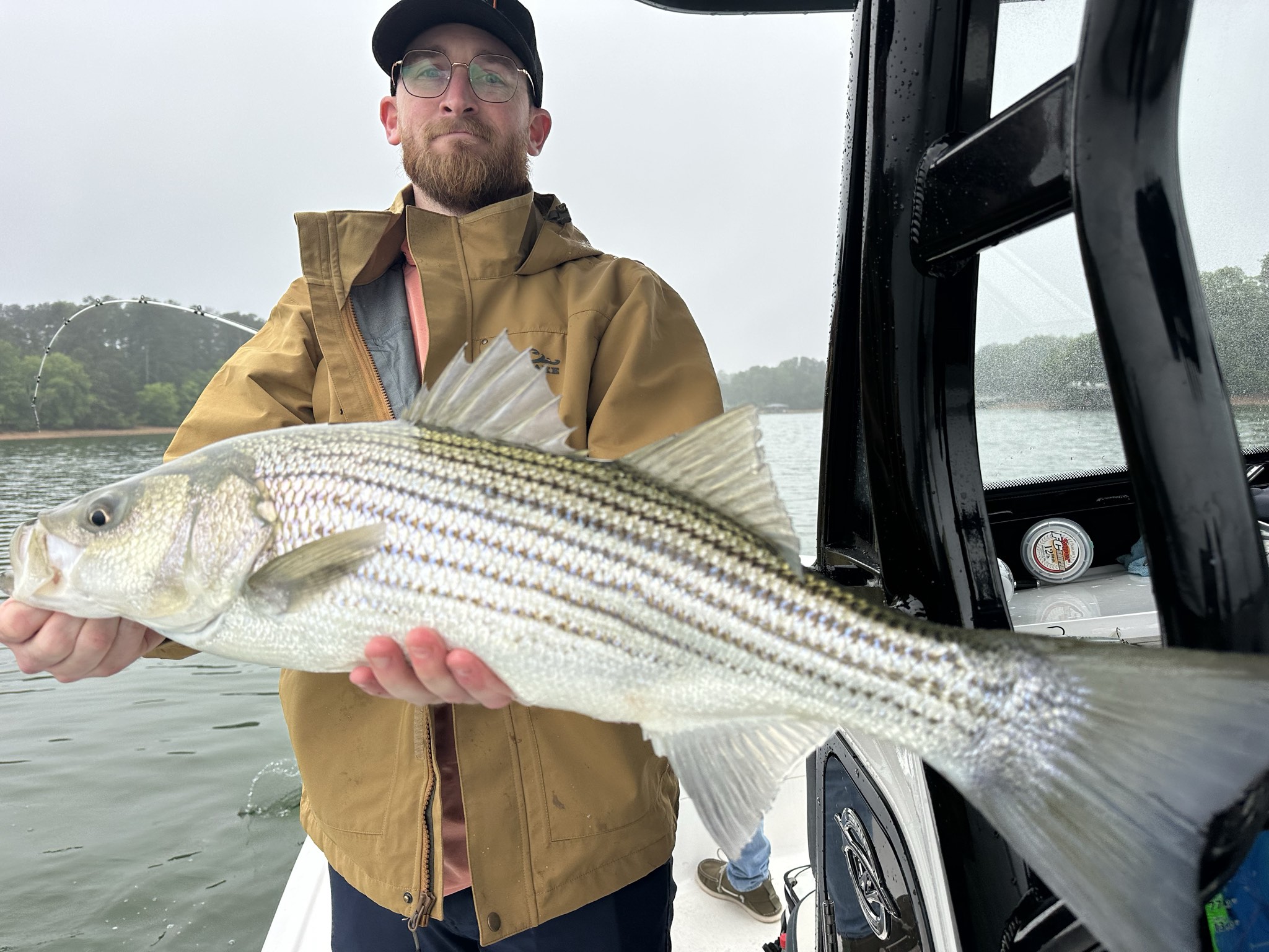 Striped Bass And Spotted Bass Action On Lake Lanier