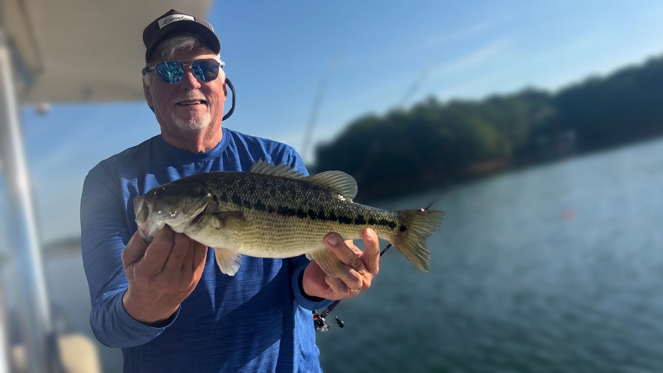 Striped Bass And Spotted Bass Dominate Lake Lanier