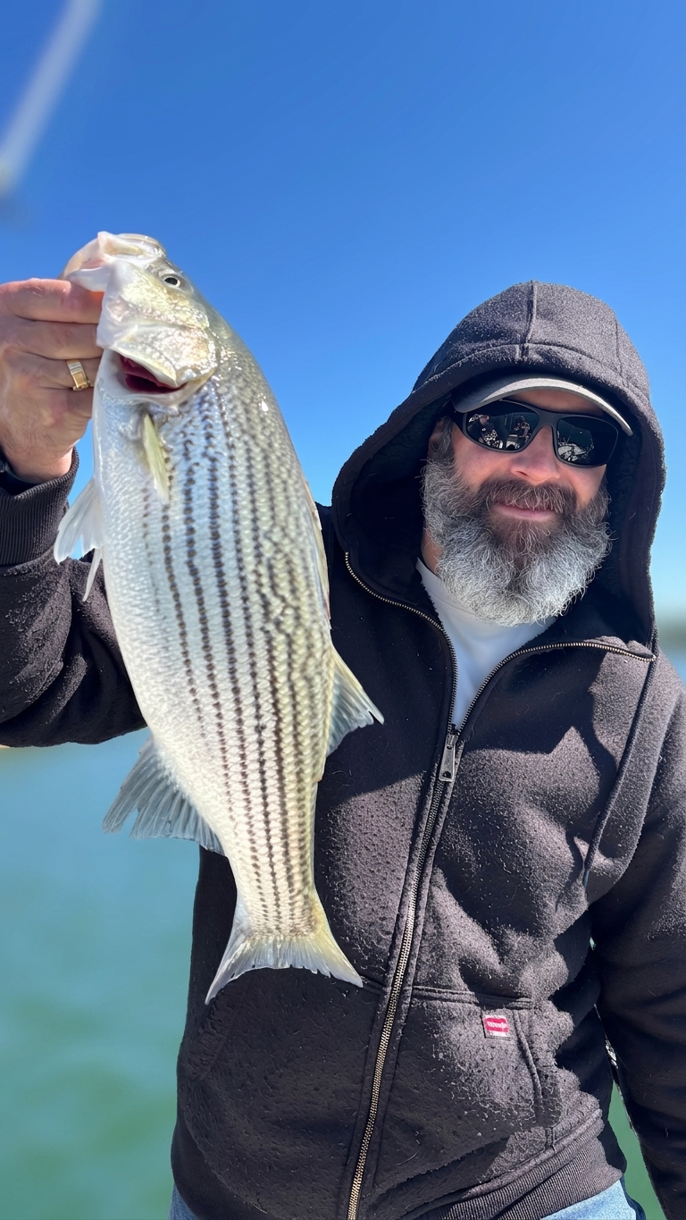 May Striped Bass And Spotted Bass On Lake Lanier