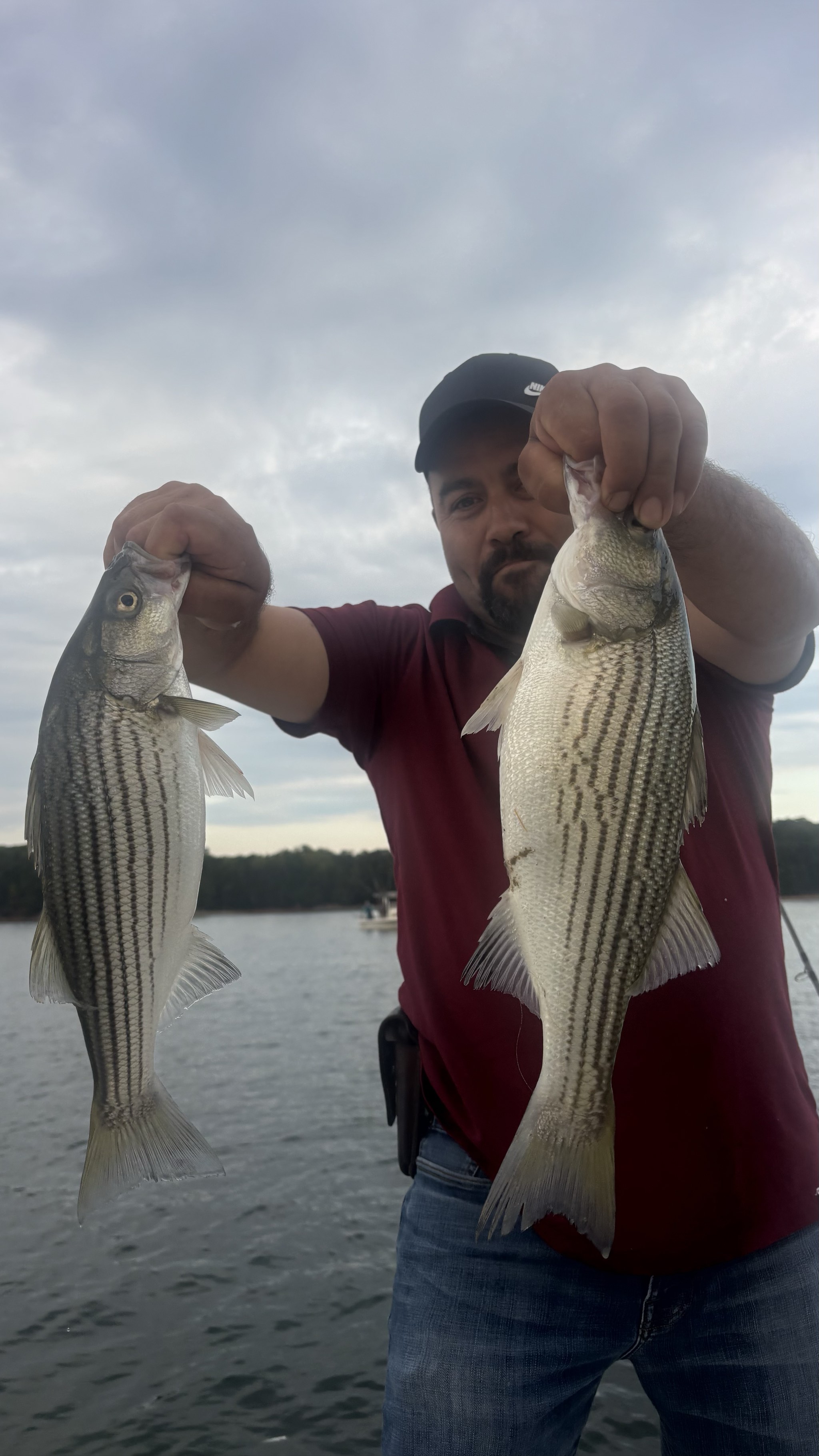 Striped Bass And Gar Action Lake Lanier
