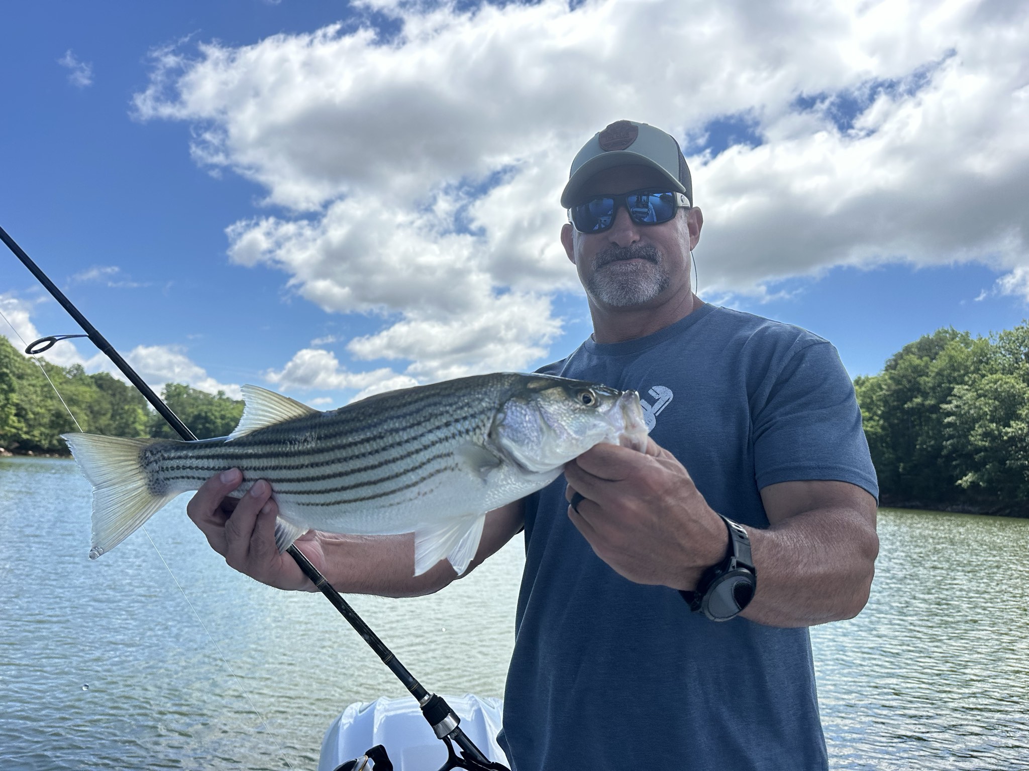 Striped Bass And Spotted Bass Dominate Lake Lanier