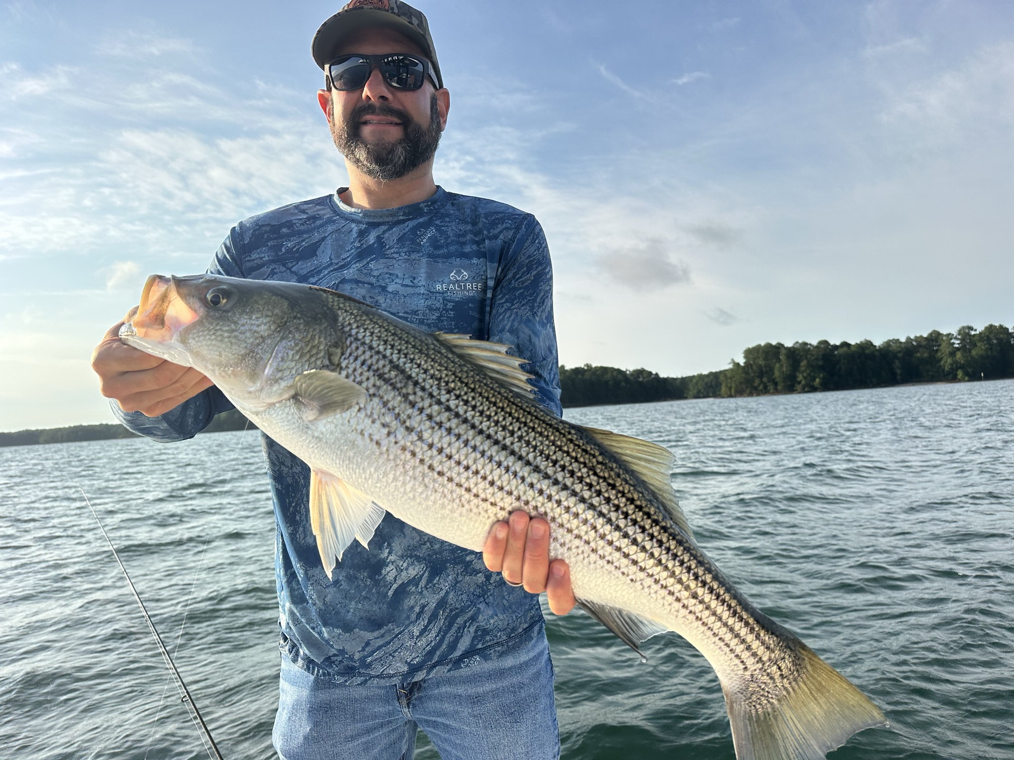 Striped And Spotted Bass On Lake Lanier