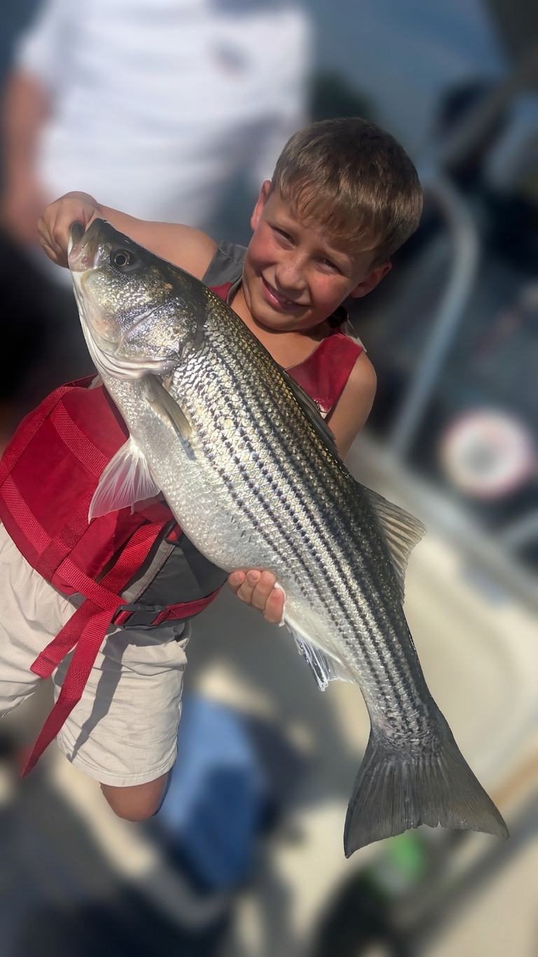 Lake Lanier bass — August 2026