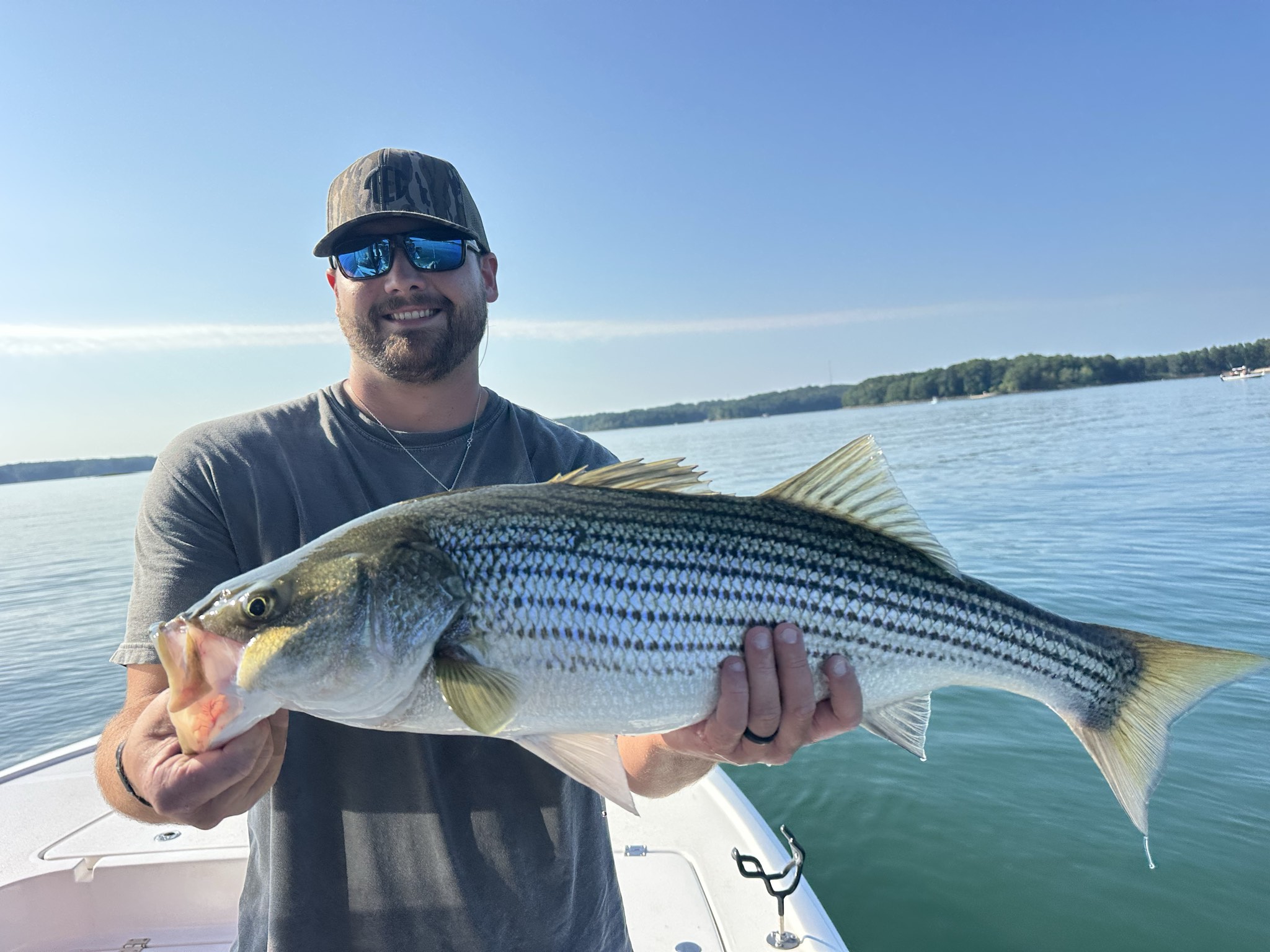 September Striped Bass Action Lake Lanier