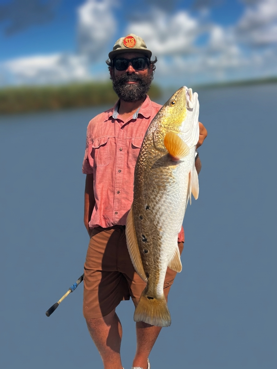 Venice, Louisiana Red drum — September 2026