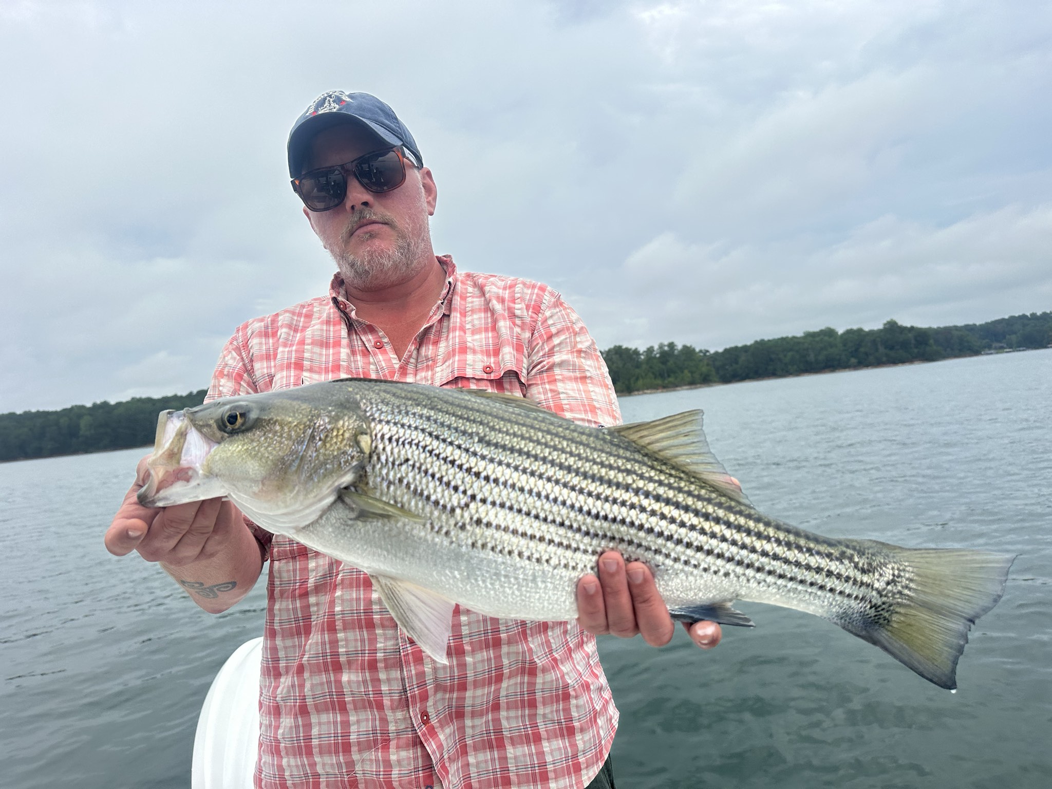 Summer Bass Bite on Lake Lanier