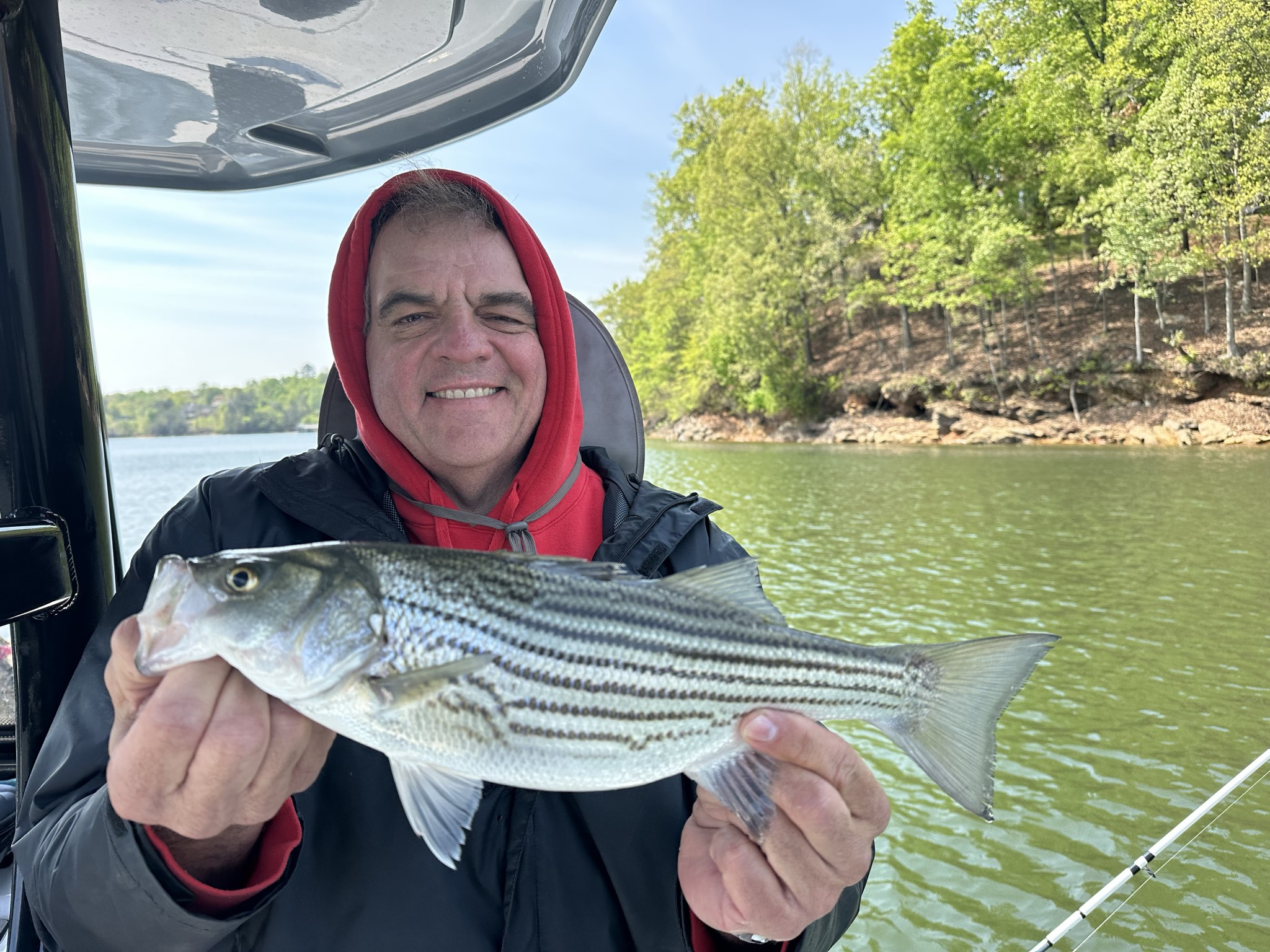 Striped Bass — April 2026