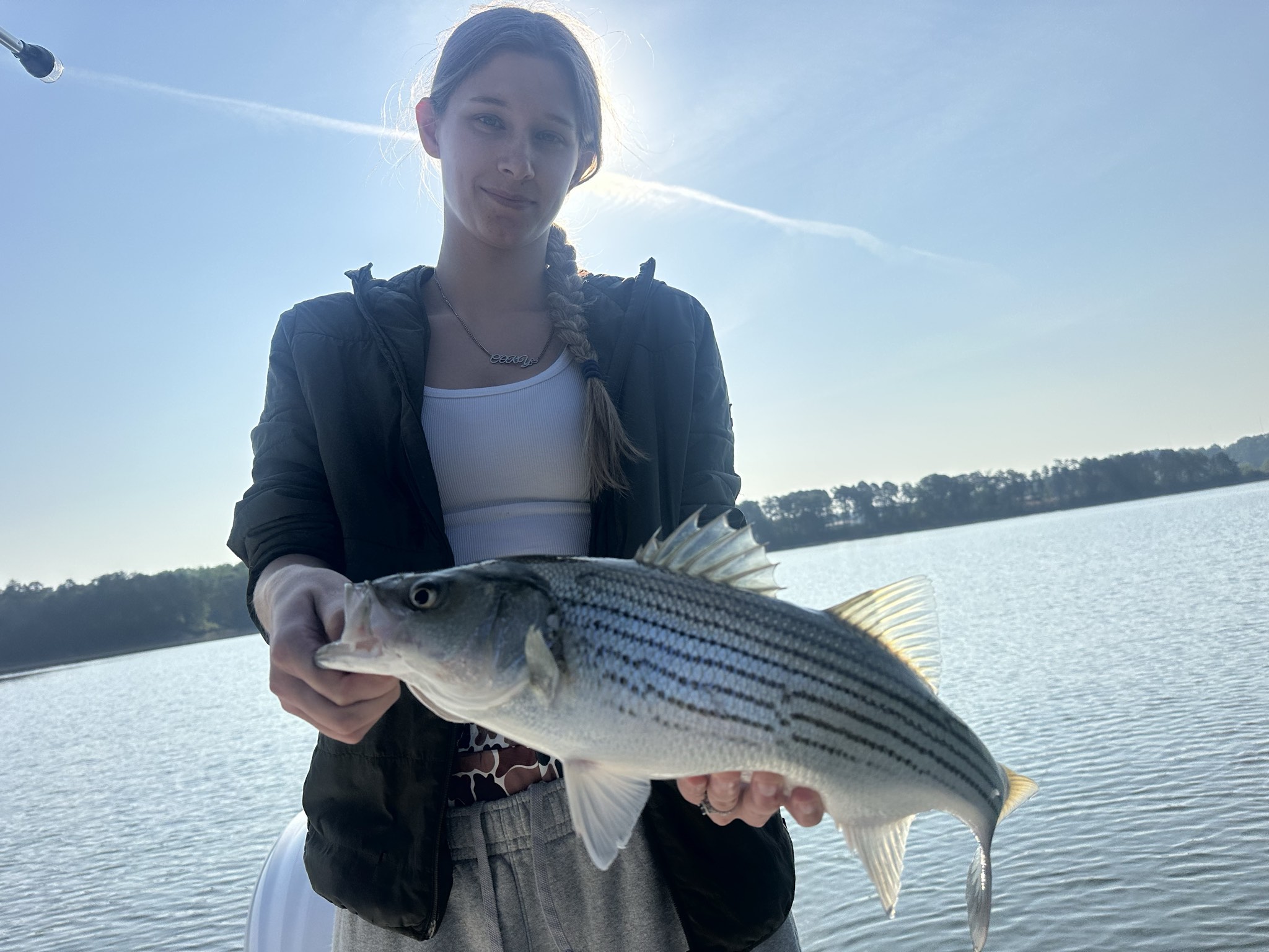 Striped Bass — April 2026