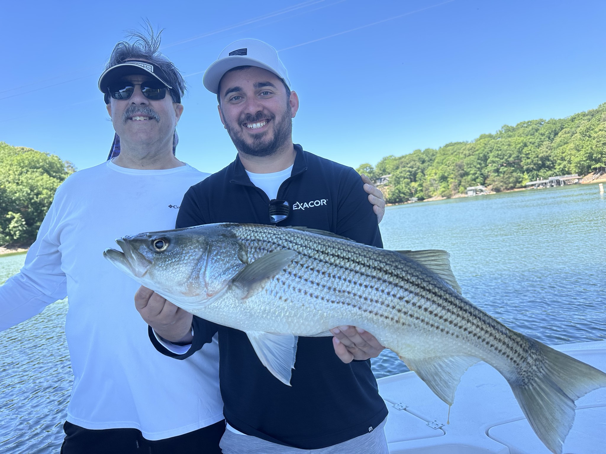 Striped Bass — May 2026