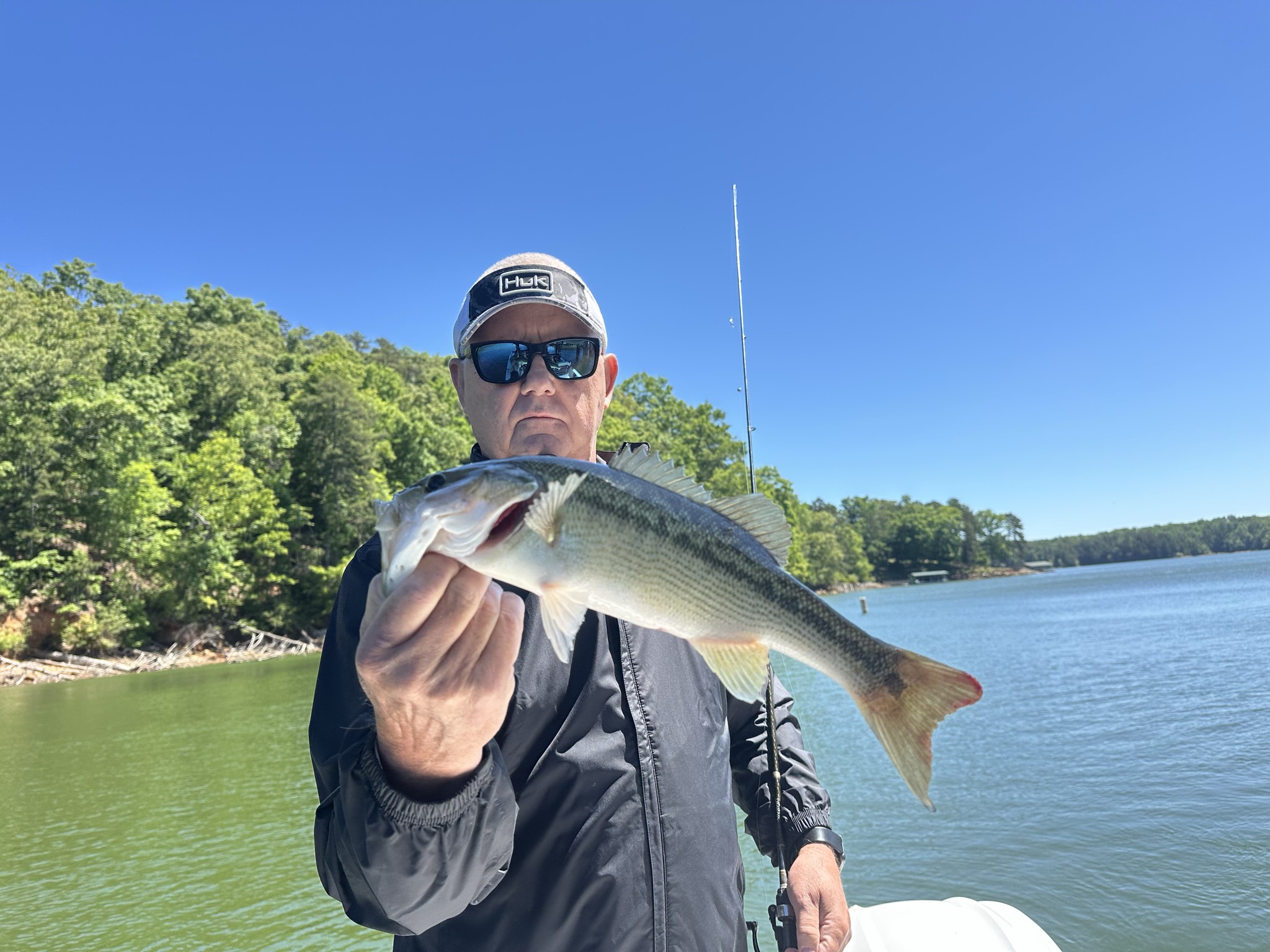 Striped Bass — May 2026