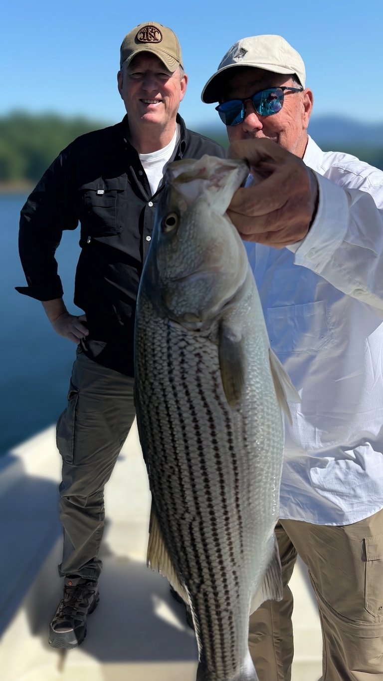 September Striped Bass Action at Lake Lanier
