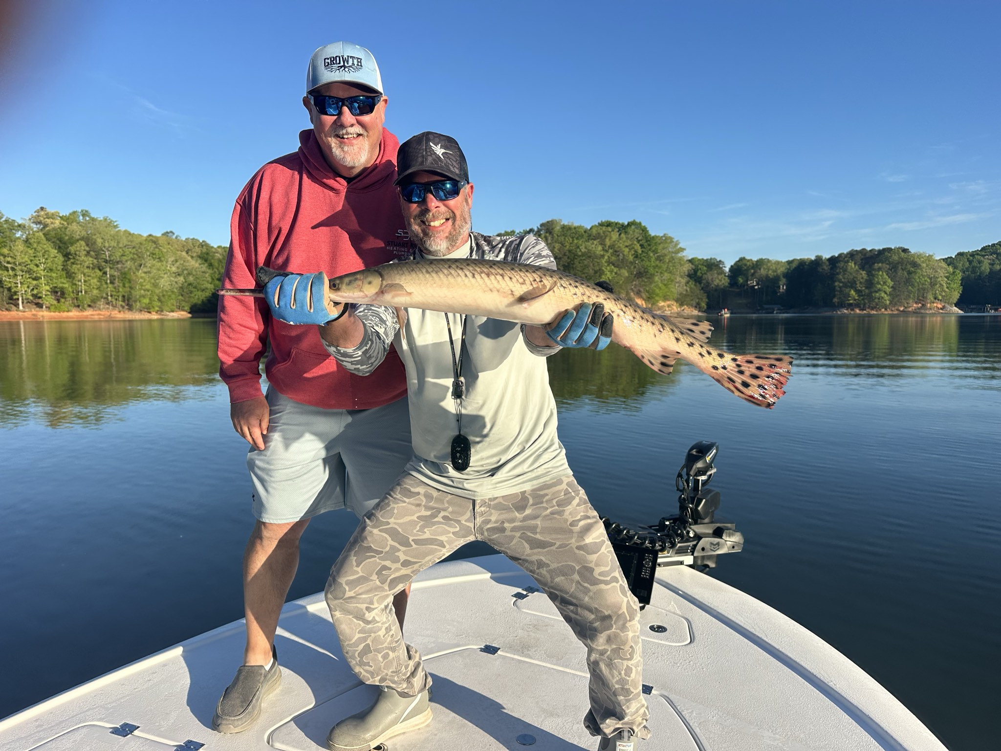 Gainesville, GA Striped Bass — April 2026