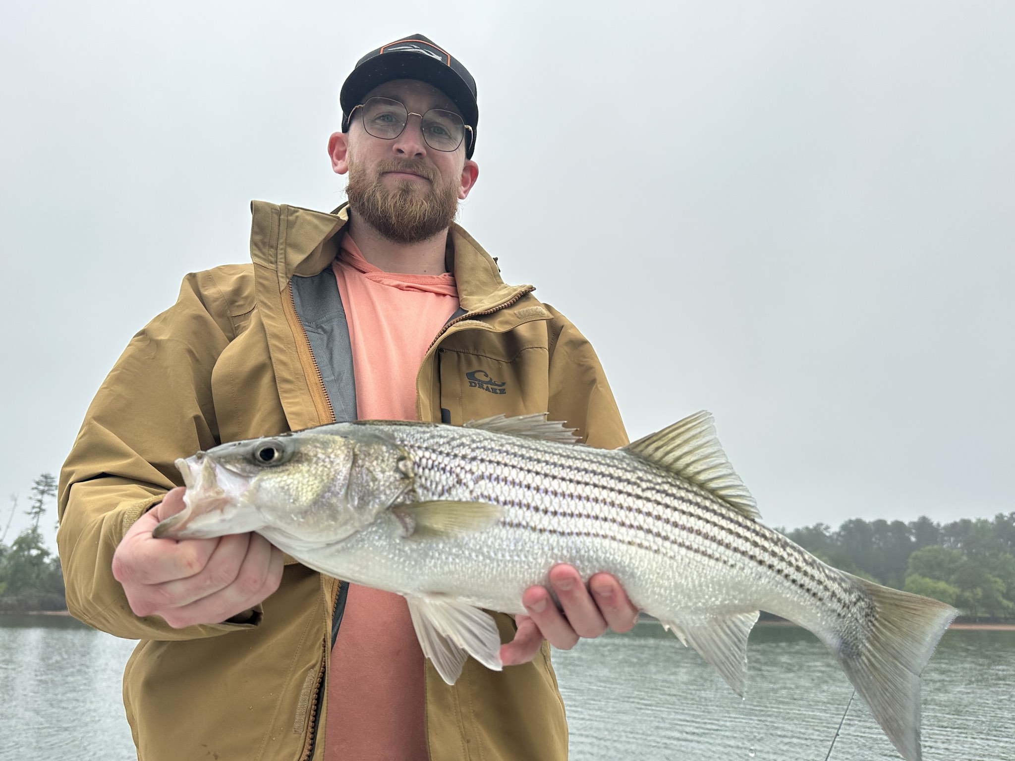 Striped Bass And Spotted Bass Action On Lake Lanier