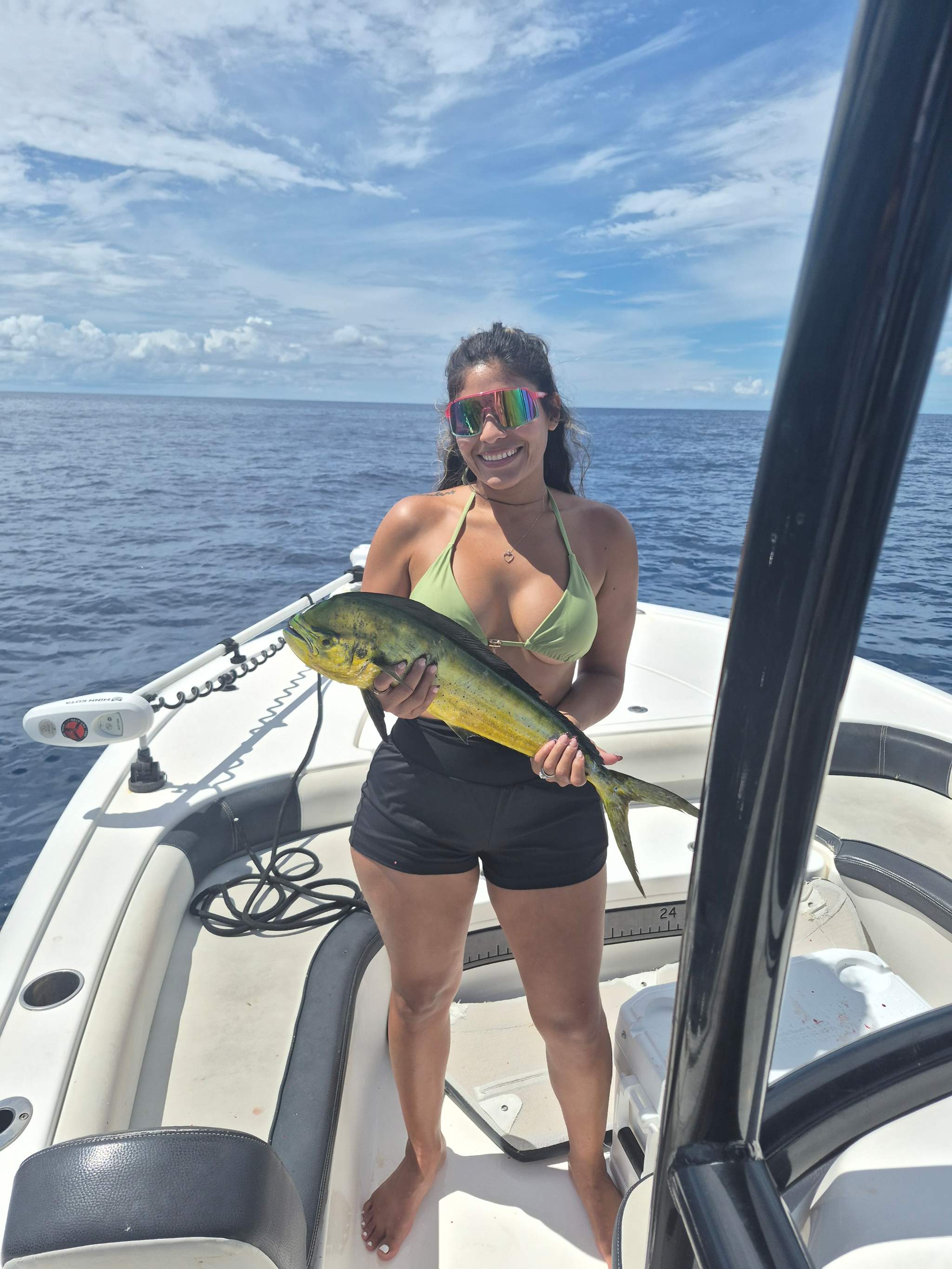 Tarpon and Snapper Action in Key Largo