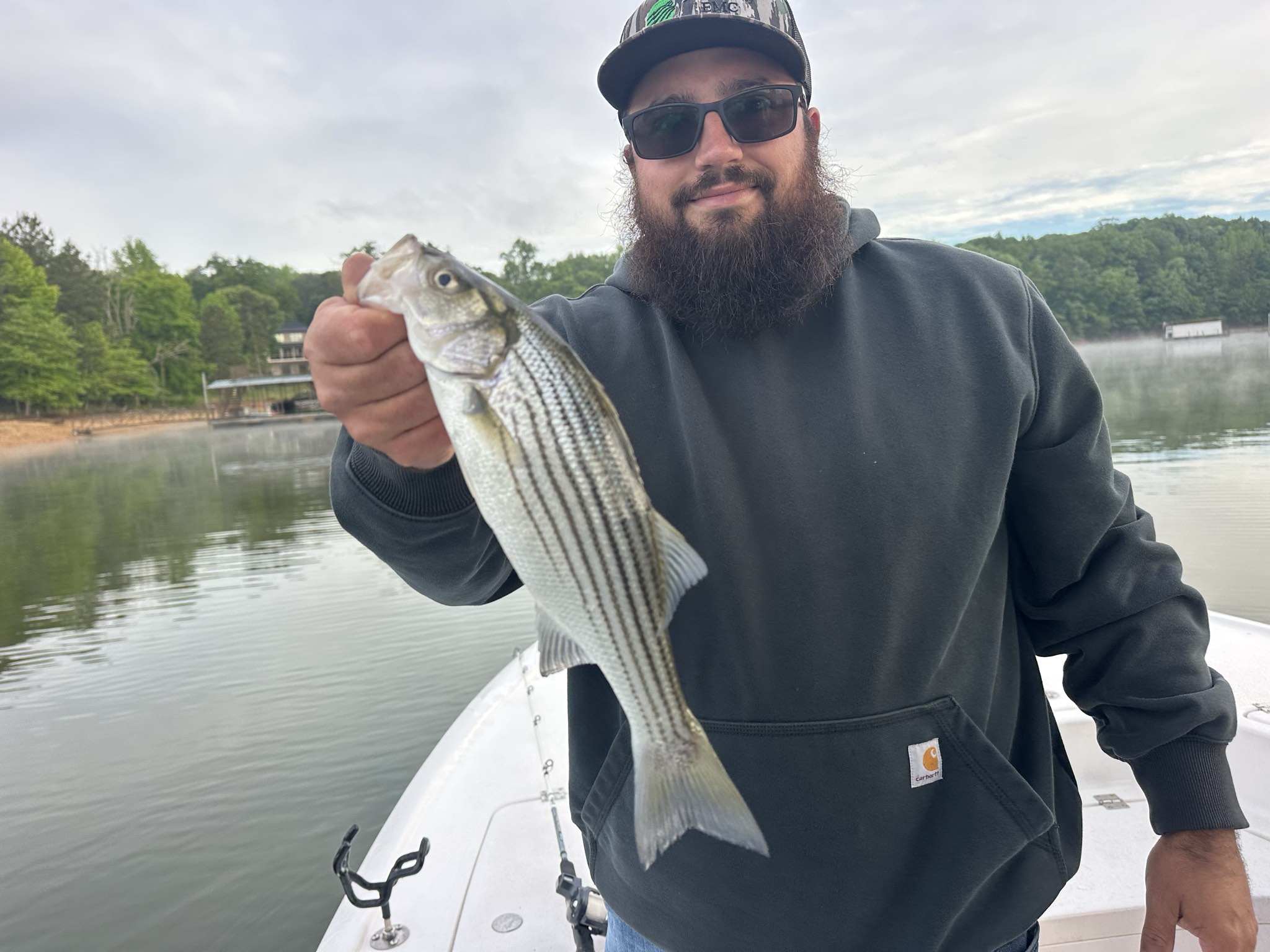 Striped Bass — May 2026