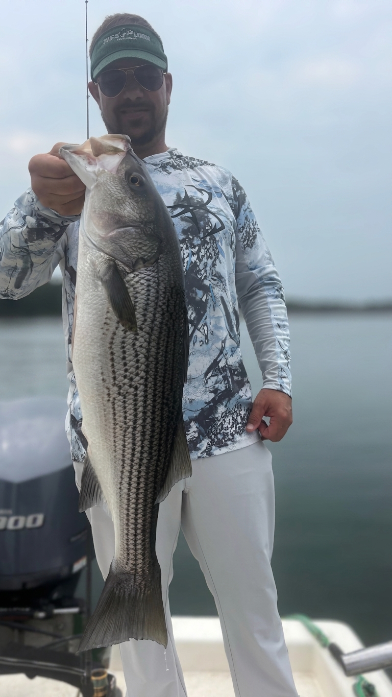 Striped And Spotted Bass On Lake Lanier