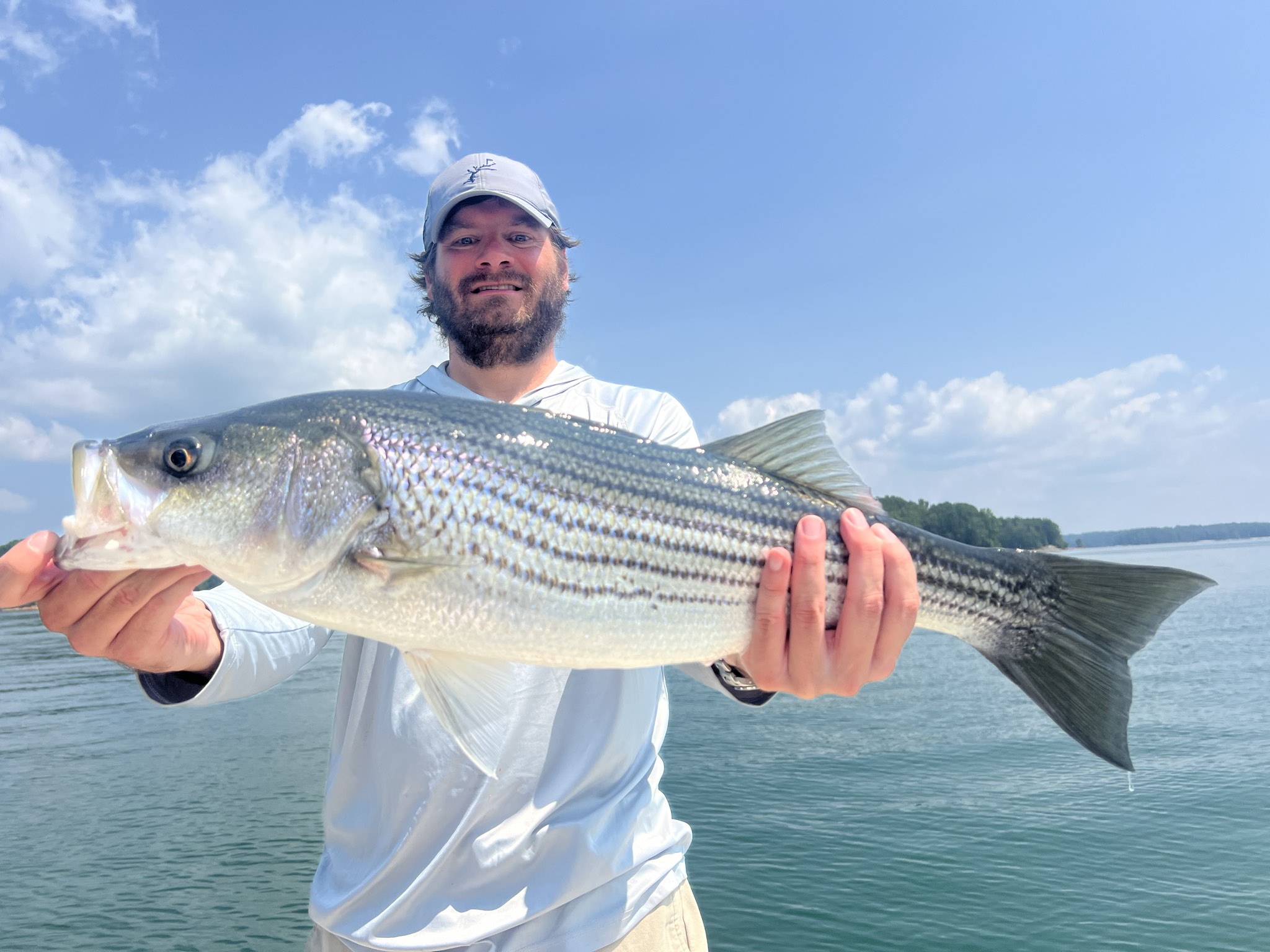 Striped Bass And Spotted Bass Lake Lanier