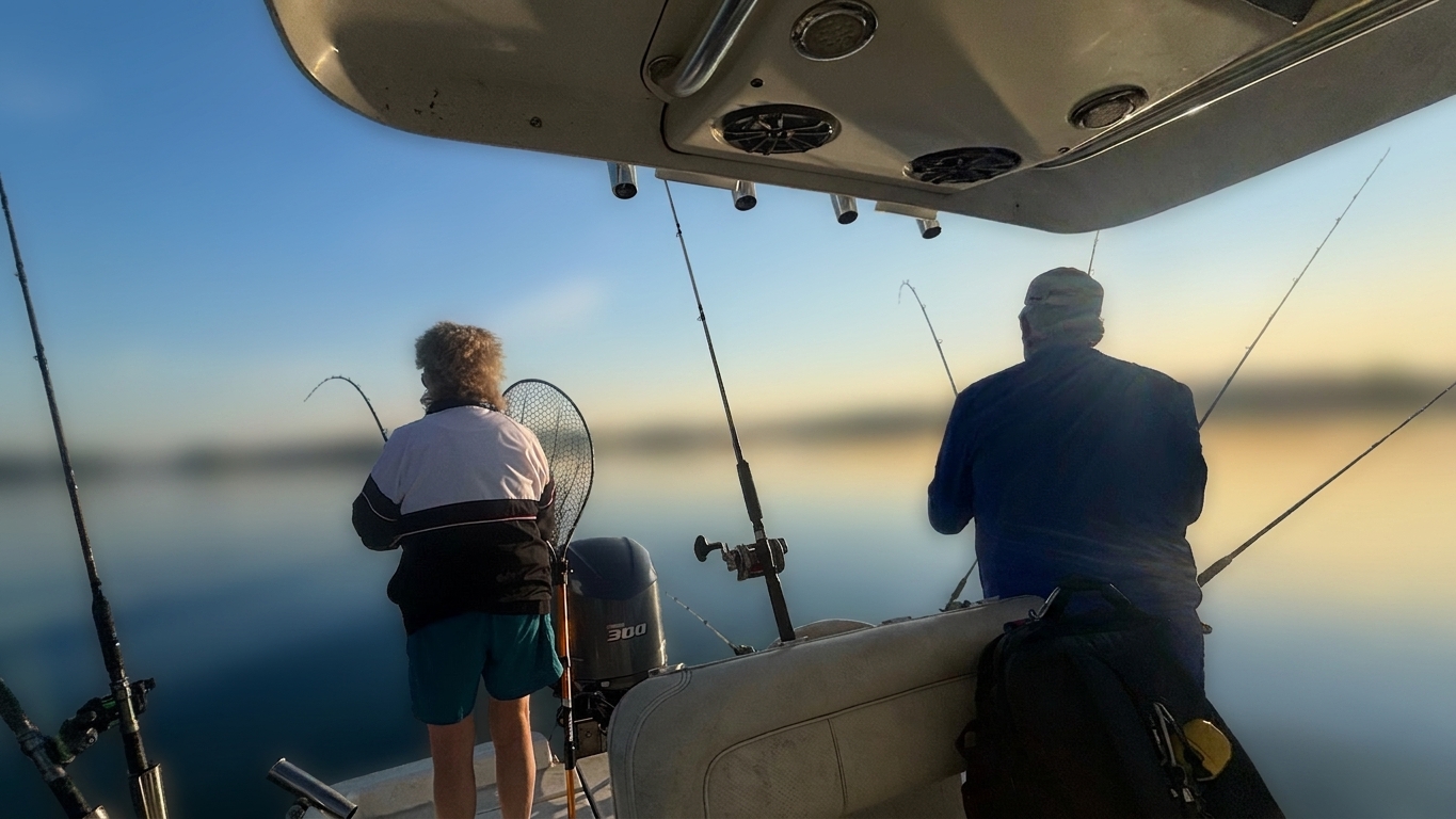 Striped Bass And Spotted Bass Dominate Lake Lanier