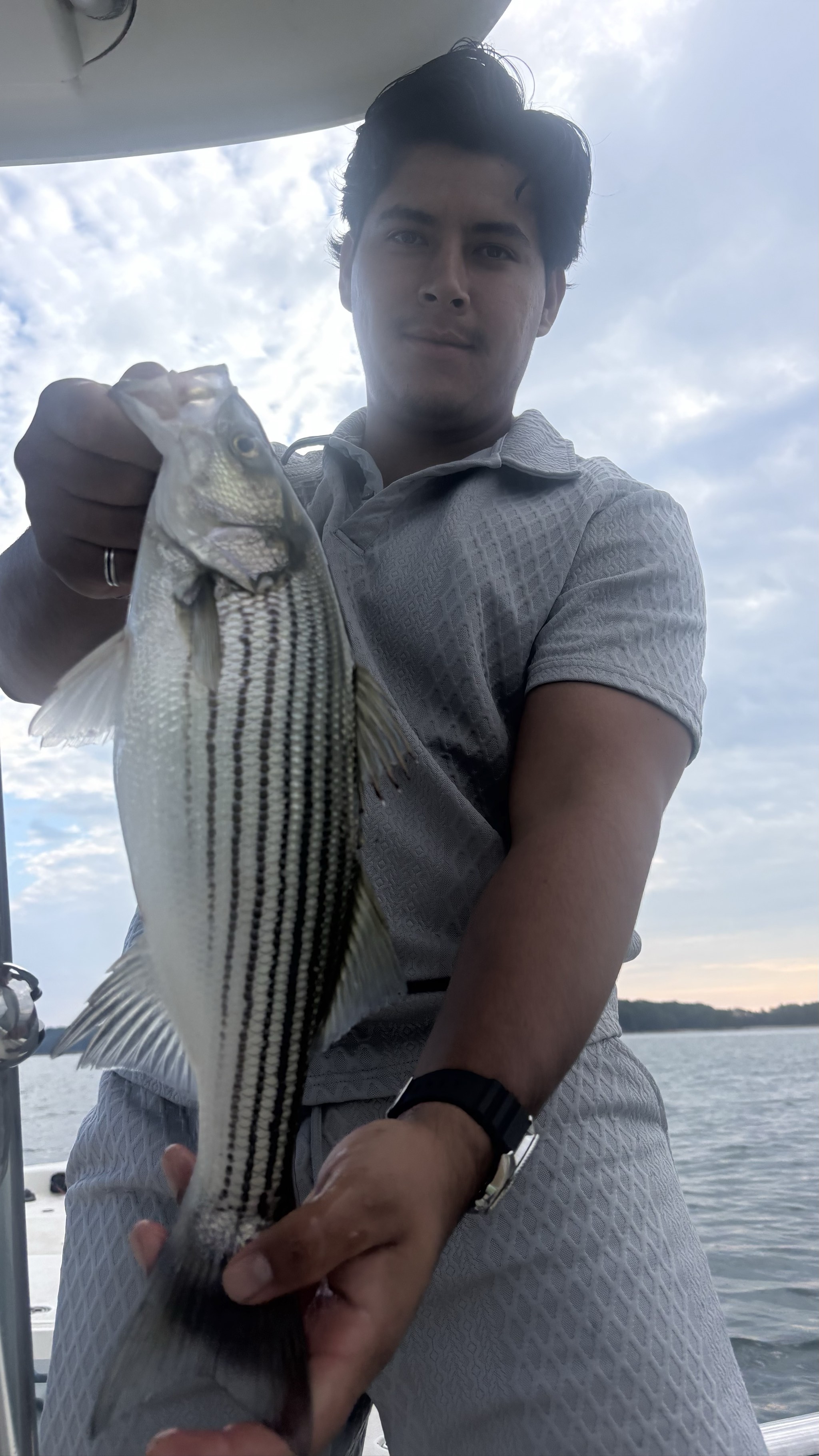 Striped Bass And Gar Action Lake Lanier