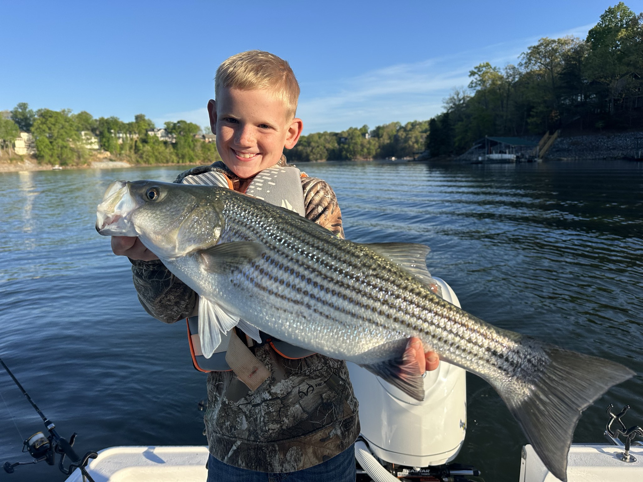 Striped Bass — April 2026