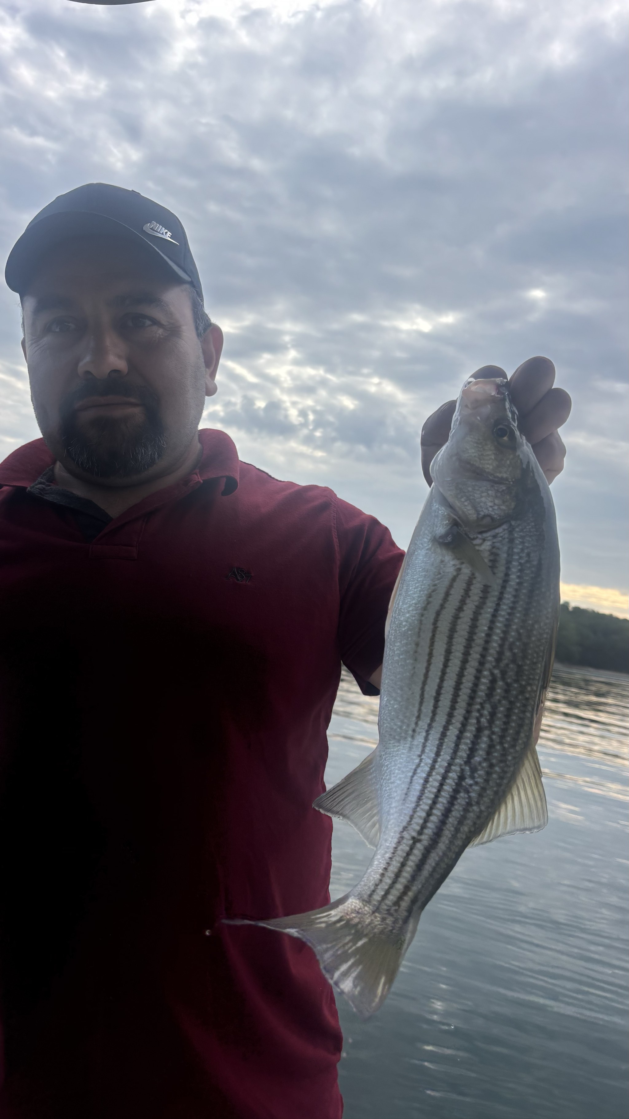 Striped Bass And Gar Action Lake Lanier