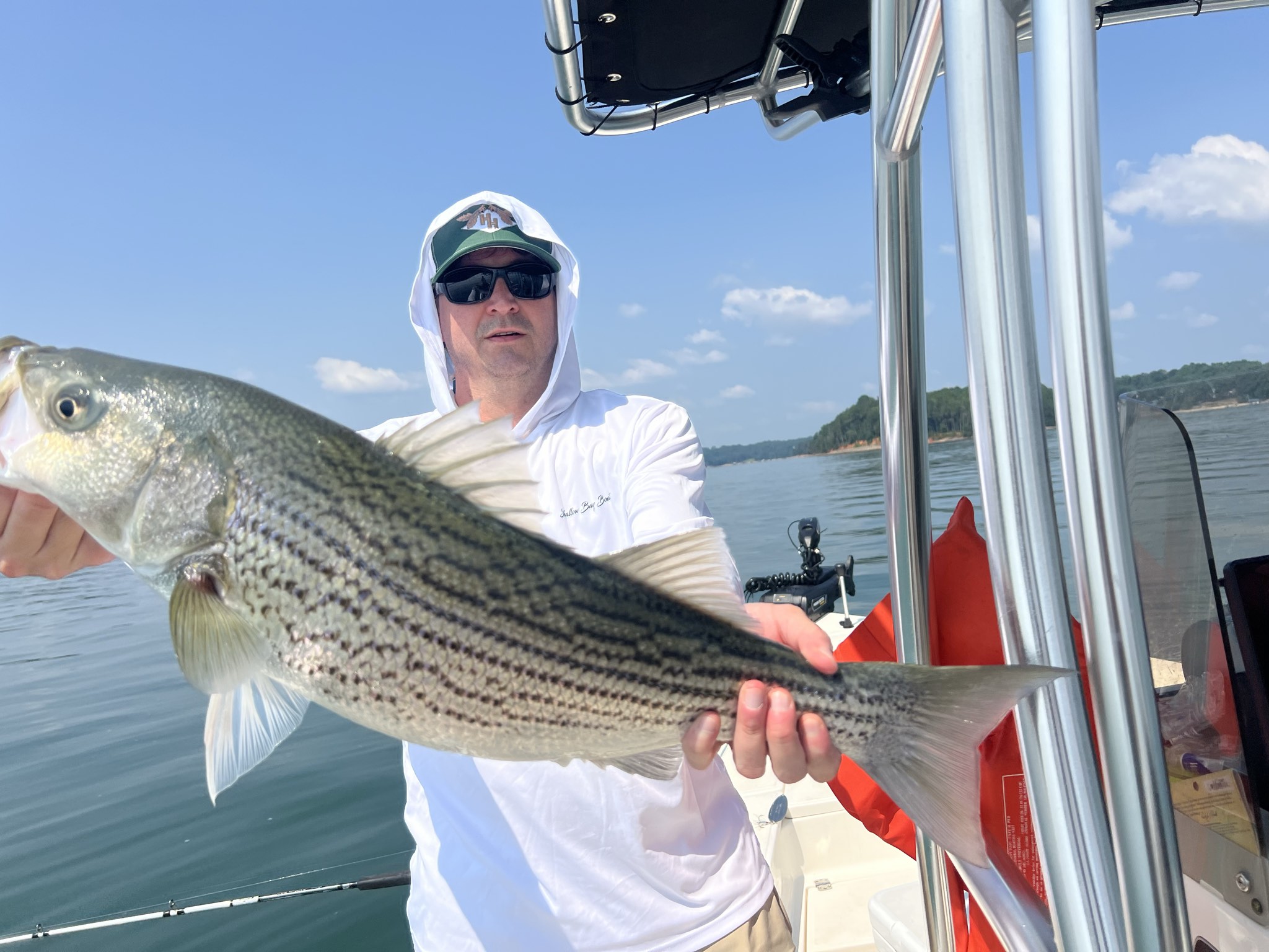 Striped Bass And Spotted Bass Lake Lanier