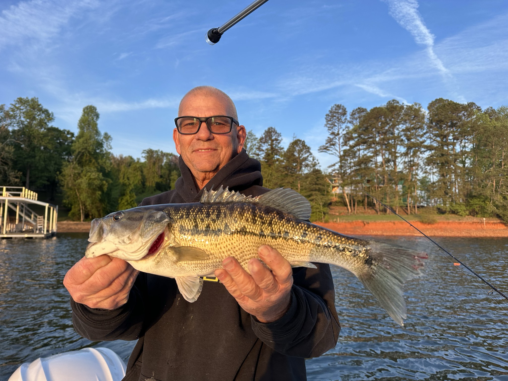 Striped Bass — April 2026