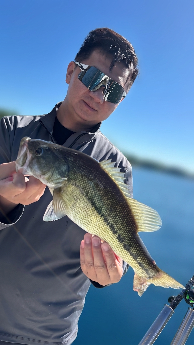 May Largemouth Bass And Catfish On Lake Lanier