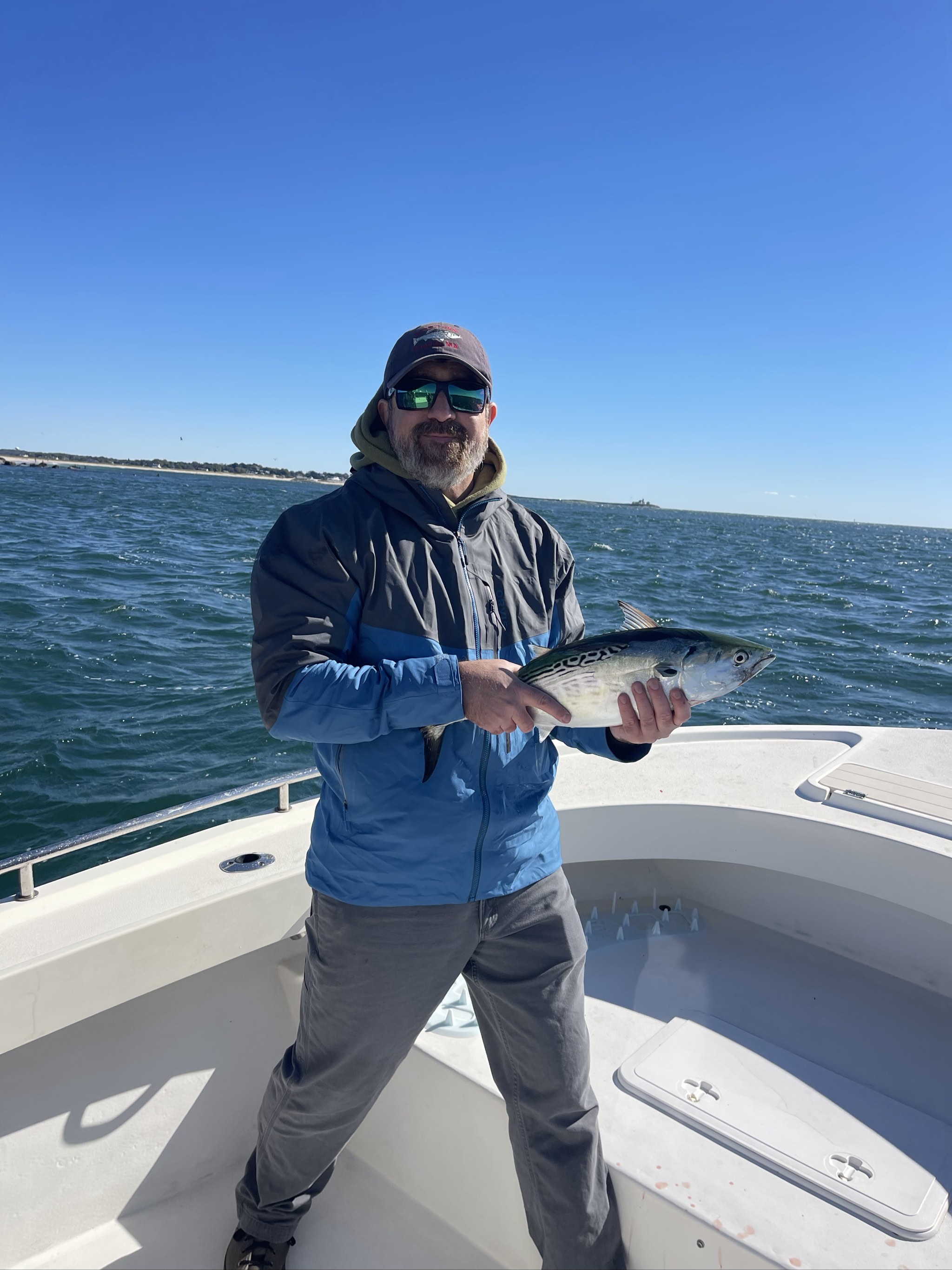 Atlantic bonito caught out of Boston, July 31, 2026