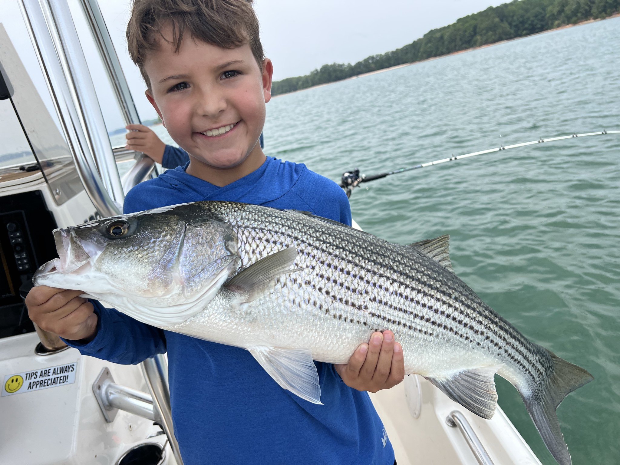 Summer Striped Bass Action On Lake Lanier