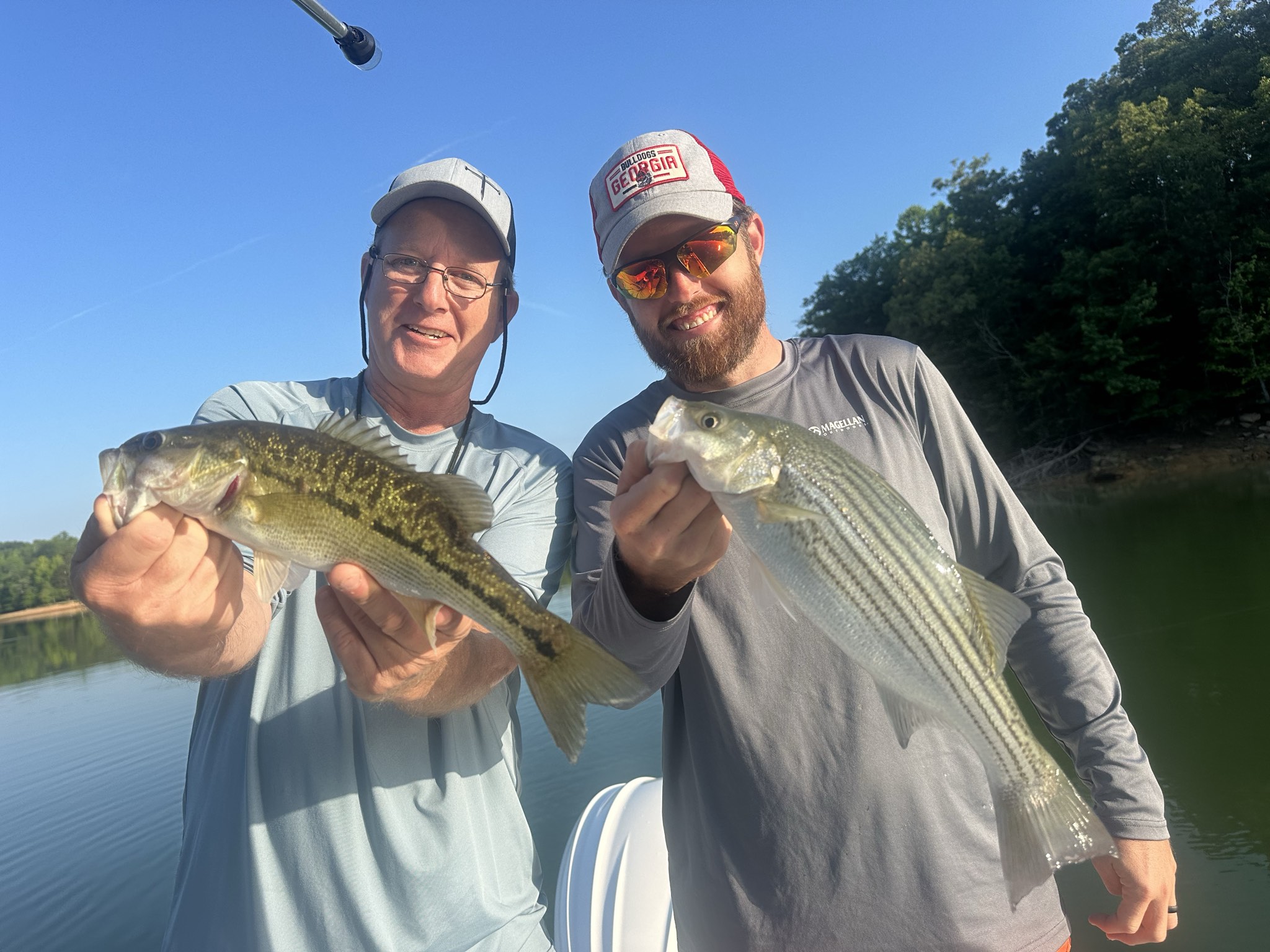 Striped Bass — May 2026