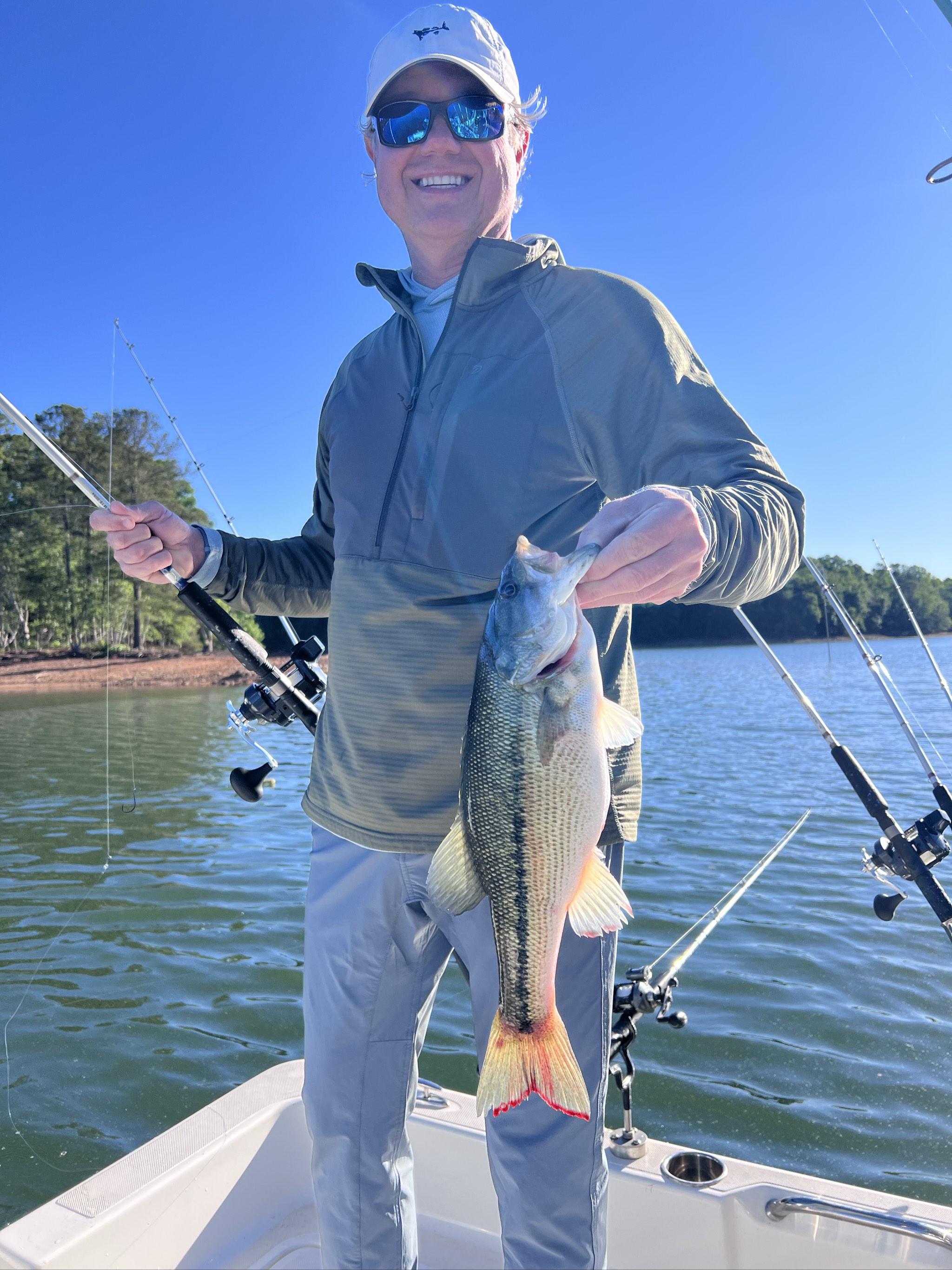 Spotted And Striped Bass On Lake Lanier