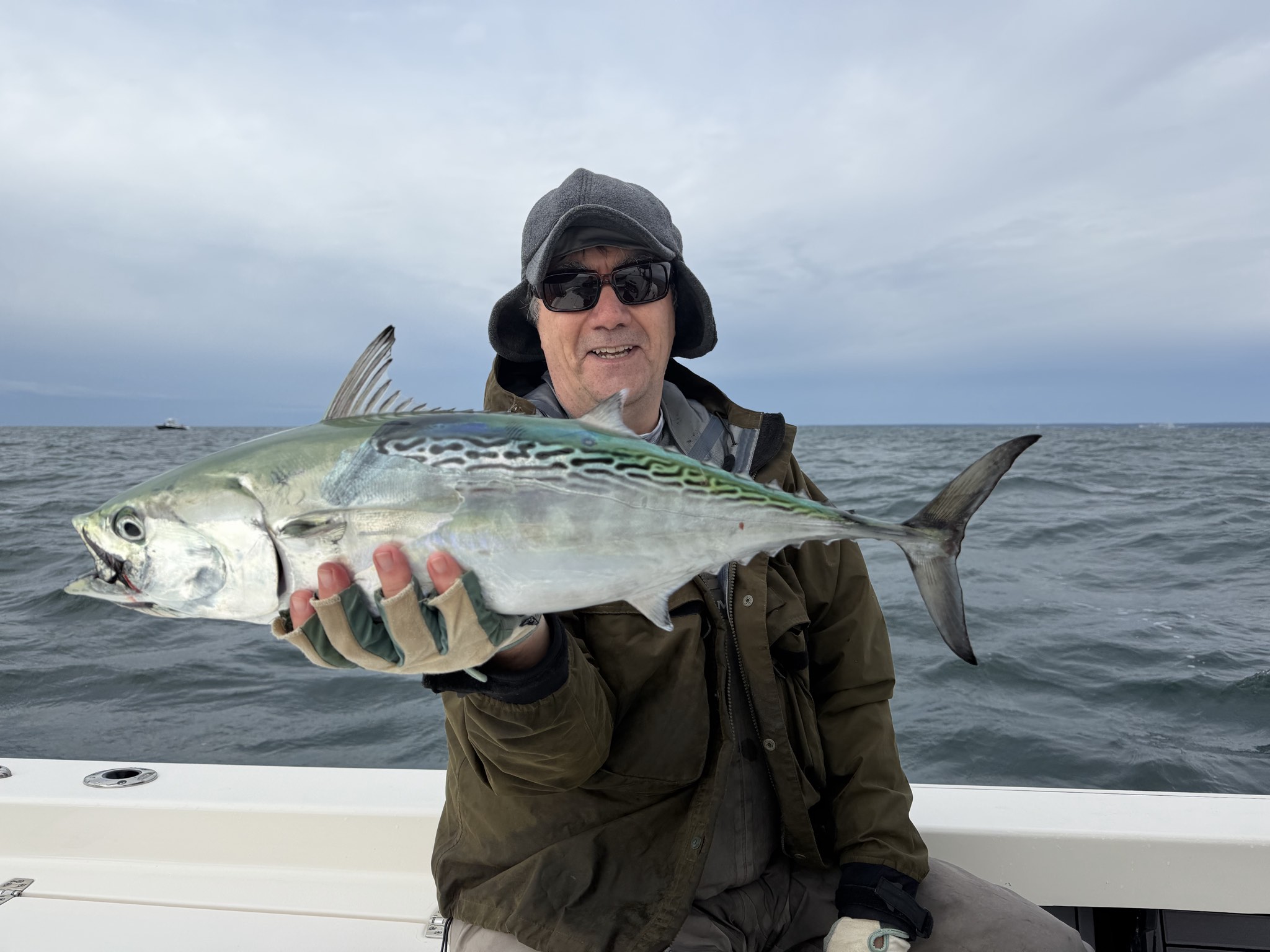 Atlantic bonito caught out of Boston, Oct 11, 2026