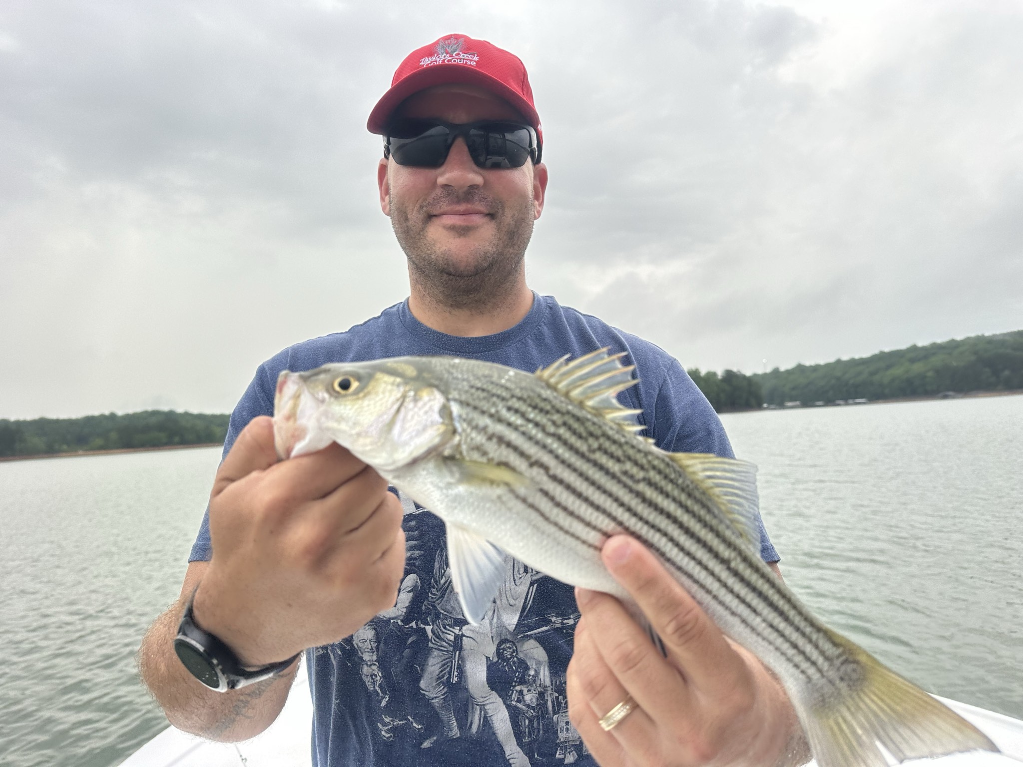 Striped Bass — June 2026